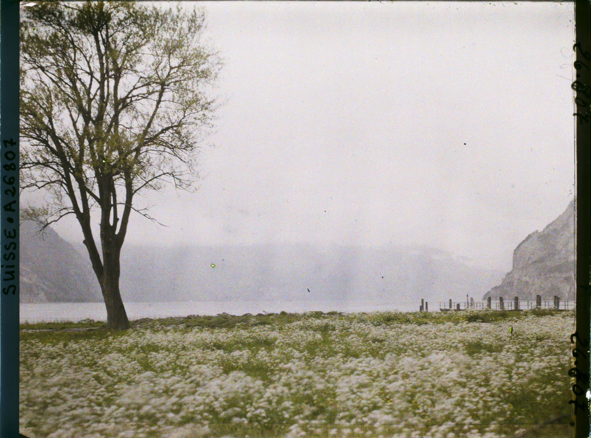 Image représentant Le lac des Quatre-Cantons et le débarcadère de Flüelen