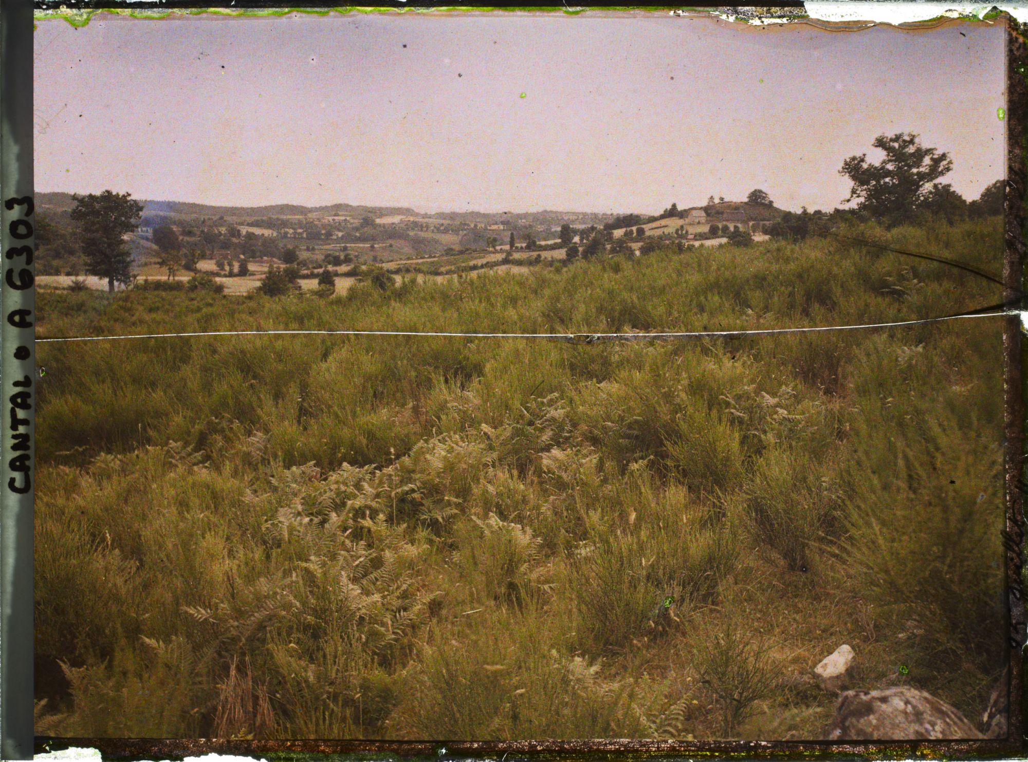 Image représentant Route près de Mauriac