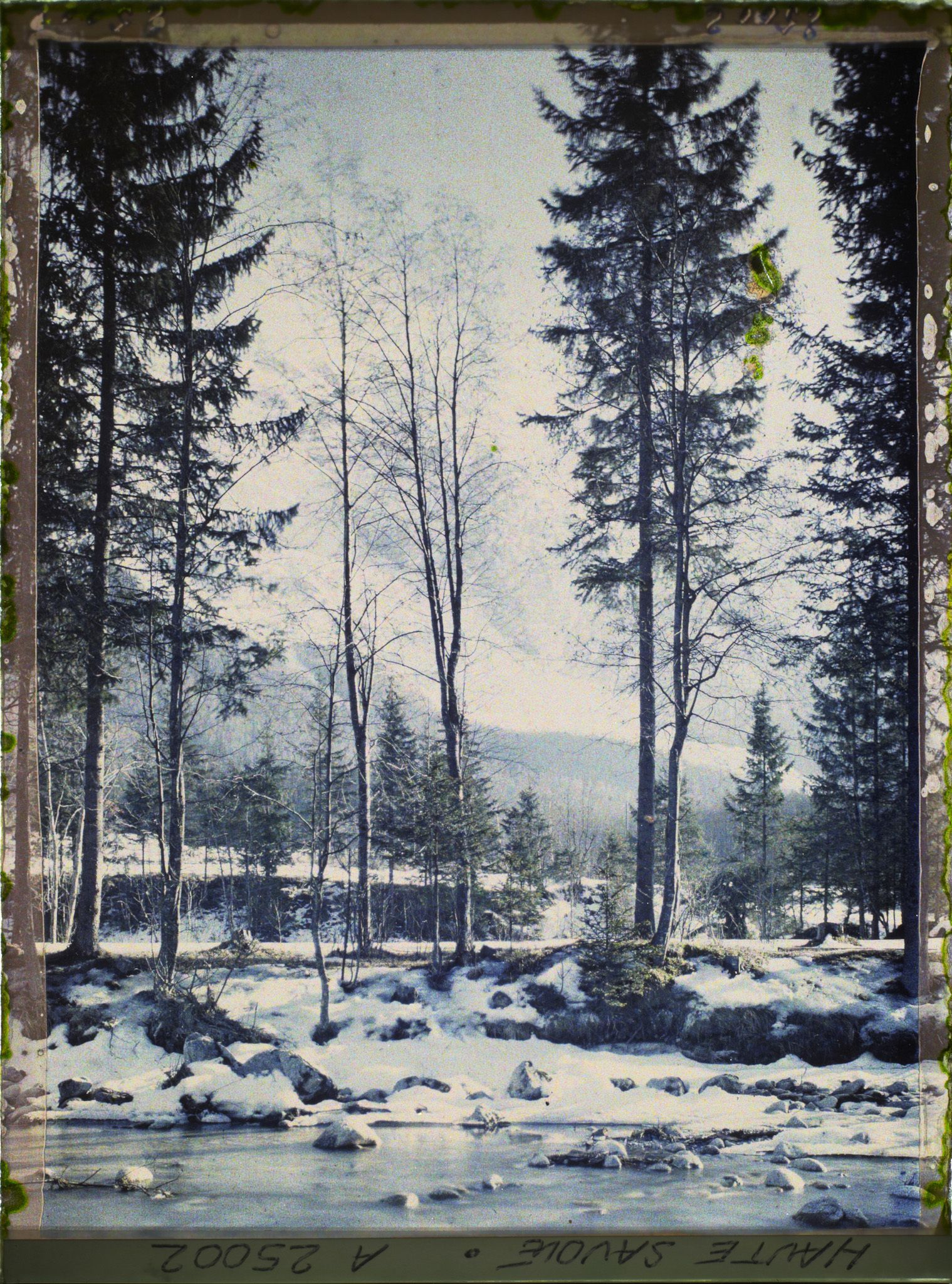 Image représentant France,Les Alpes-Vallée de Chamonix Paysage le long de l'Arve vers le glacier des Bossons