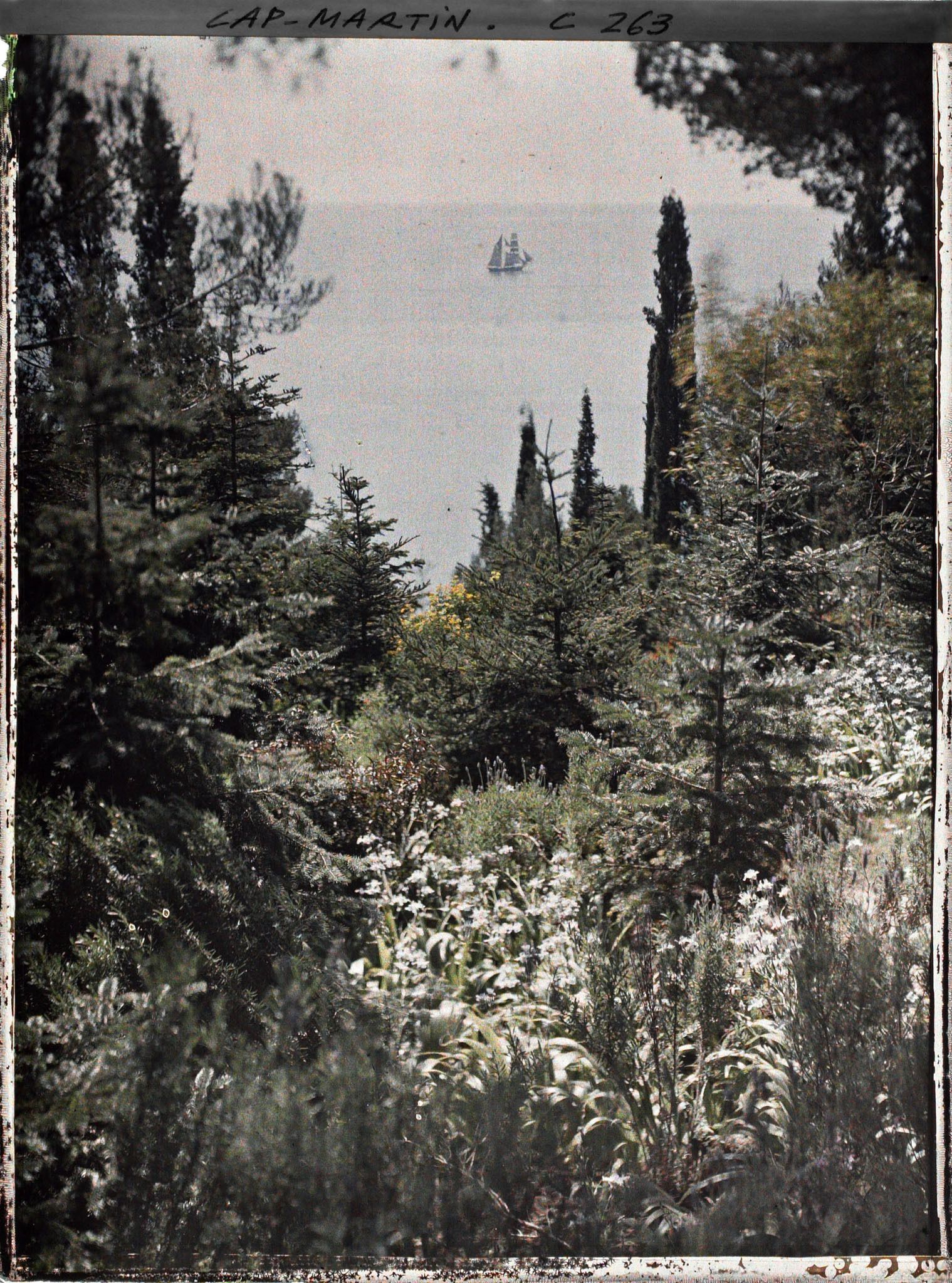 Image représentant vue sur la mer du jardin