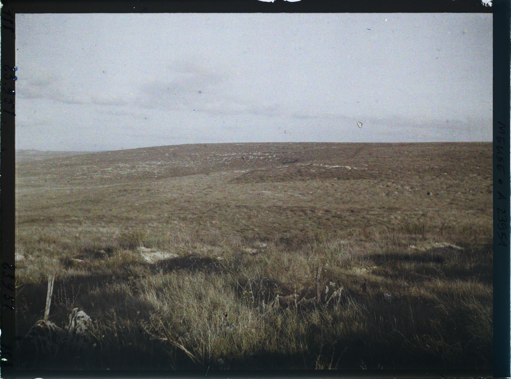 Image représentant France, Montfaucon, La Cote 304, vue prise de la route de Malancourt à Esnes vers l'Est