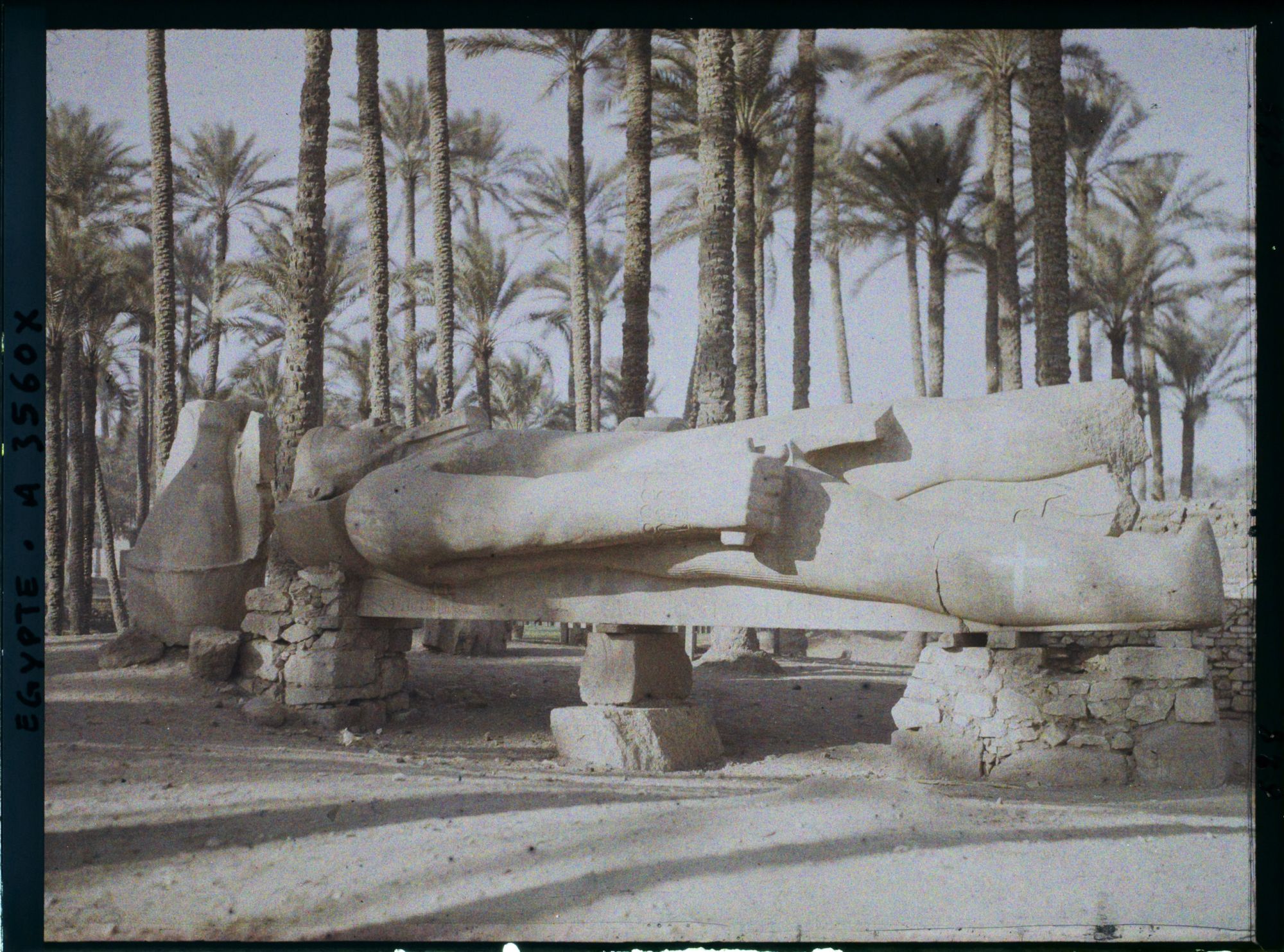 Image représentant Colosse couché de Ramsès II (1279-1243 av. J.C.)