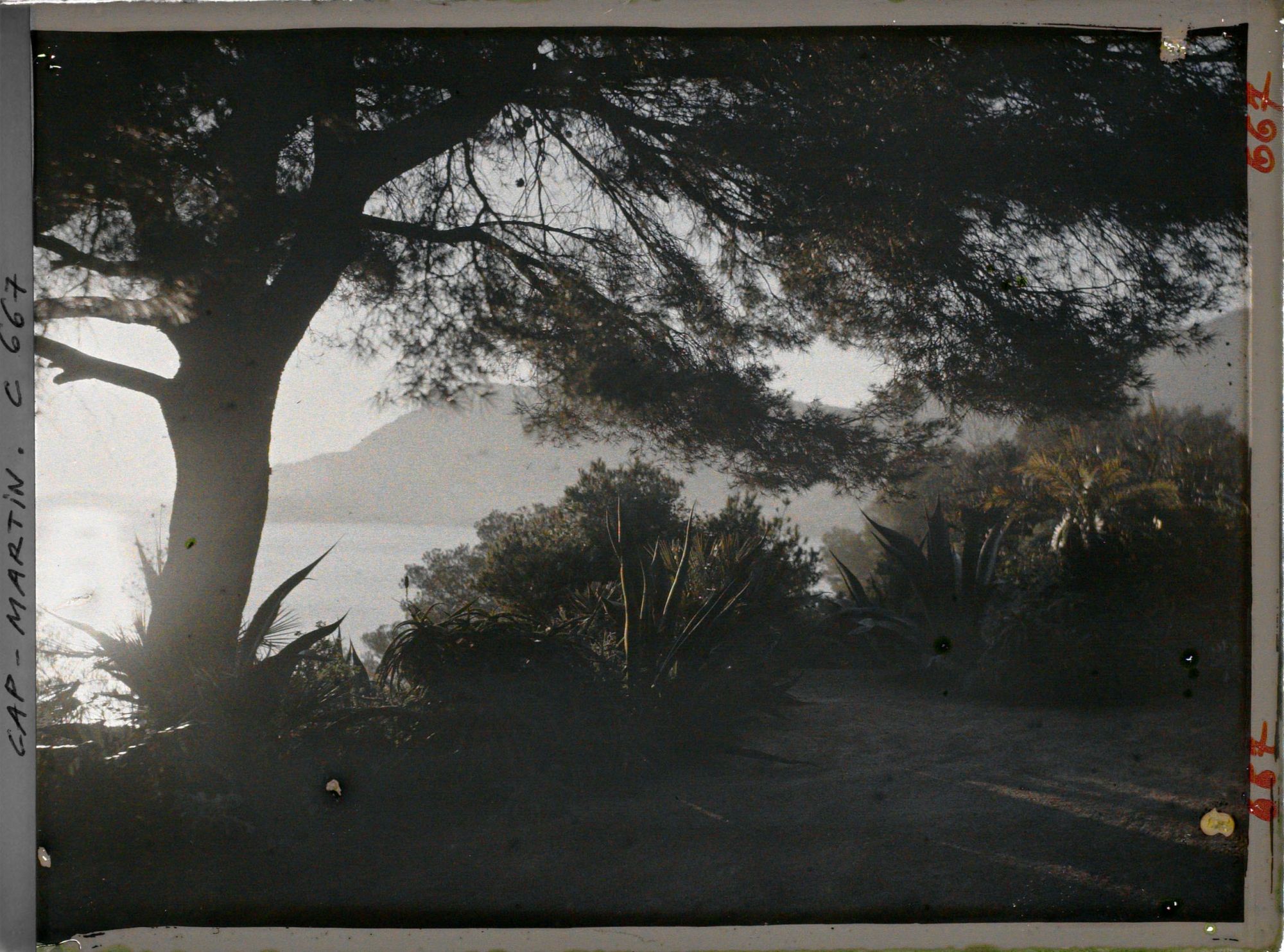 Image représentant Abord de Miramar vu le soir