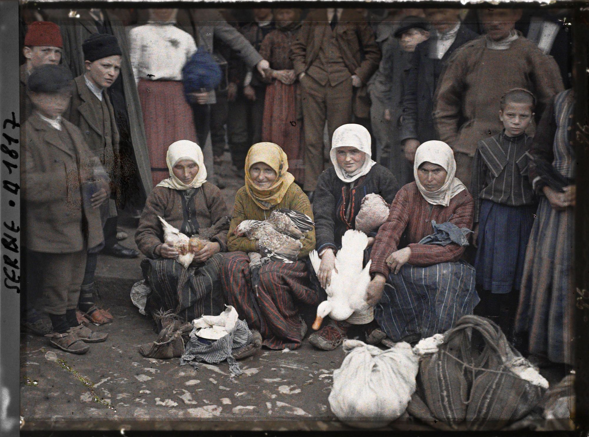 Image représentant Groupe de femmes sur la place du marché tenant sur leur genoux des poules et des canards