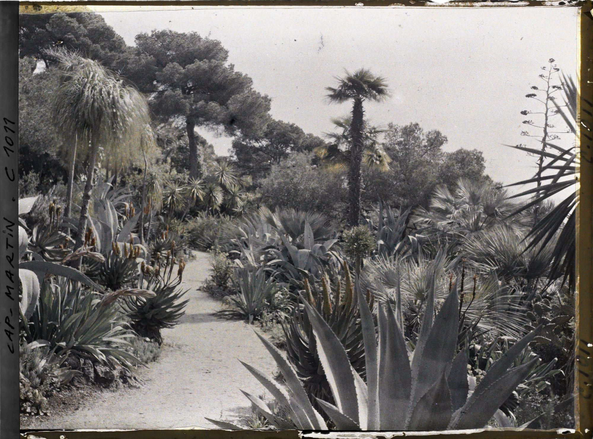 Image représentant Le Jardin