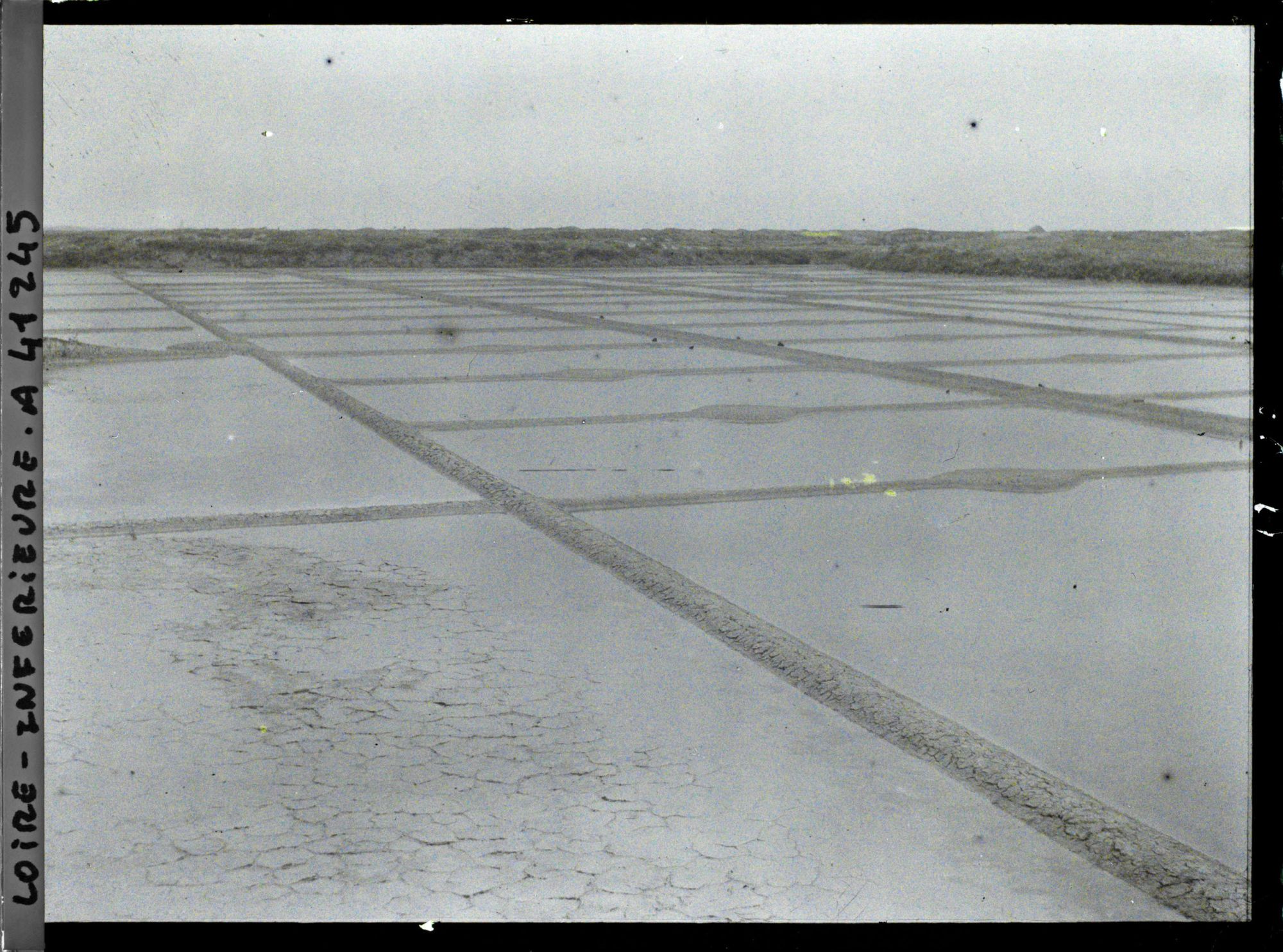 Image représentant Les marais salants