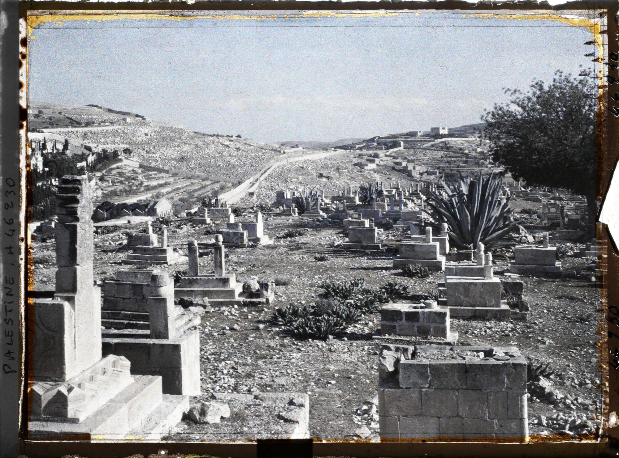 Image représentant Cimetière musulman