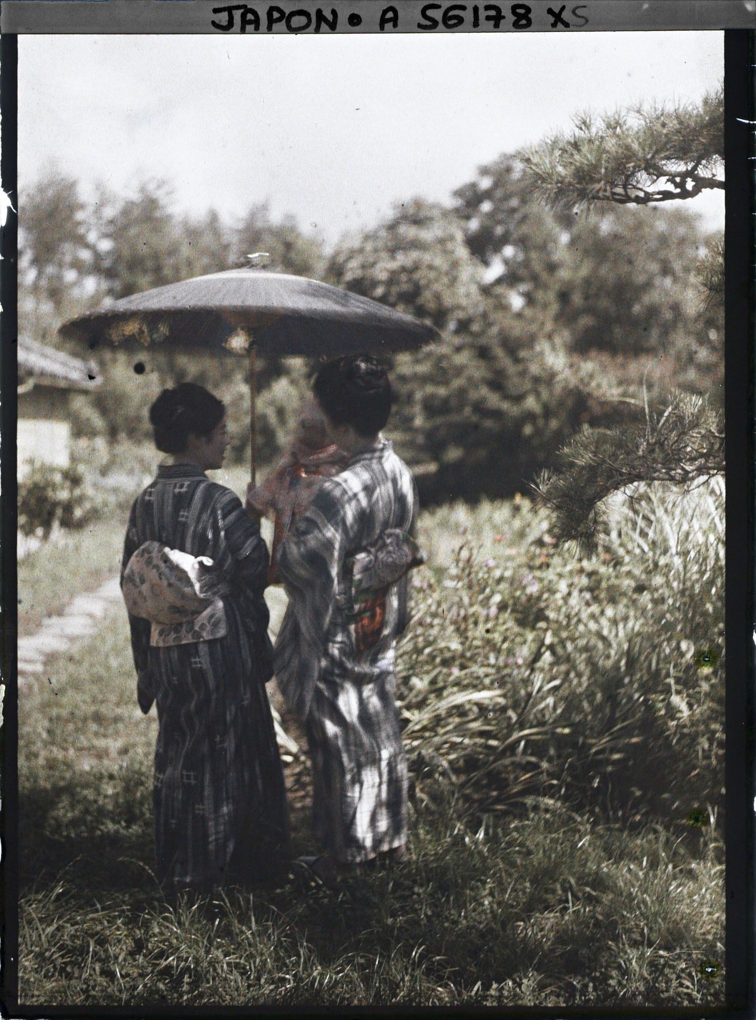 Image représentant Jeunes femmes portant un bébé