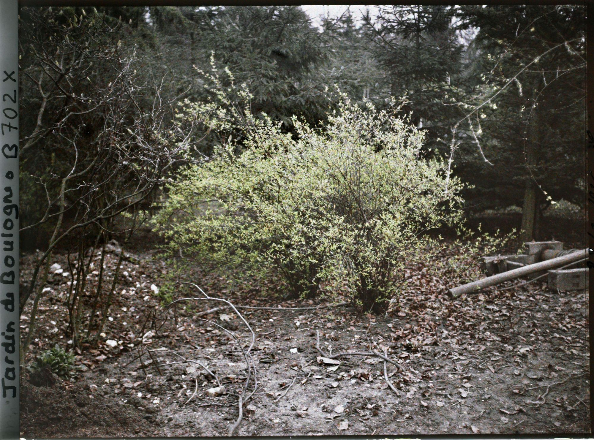 Image représentant jardins