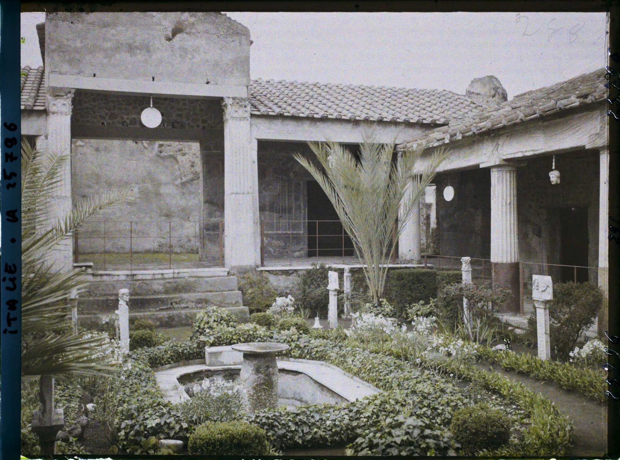 Image représentant Péristyle de la maison des Amours dorés