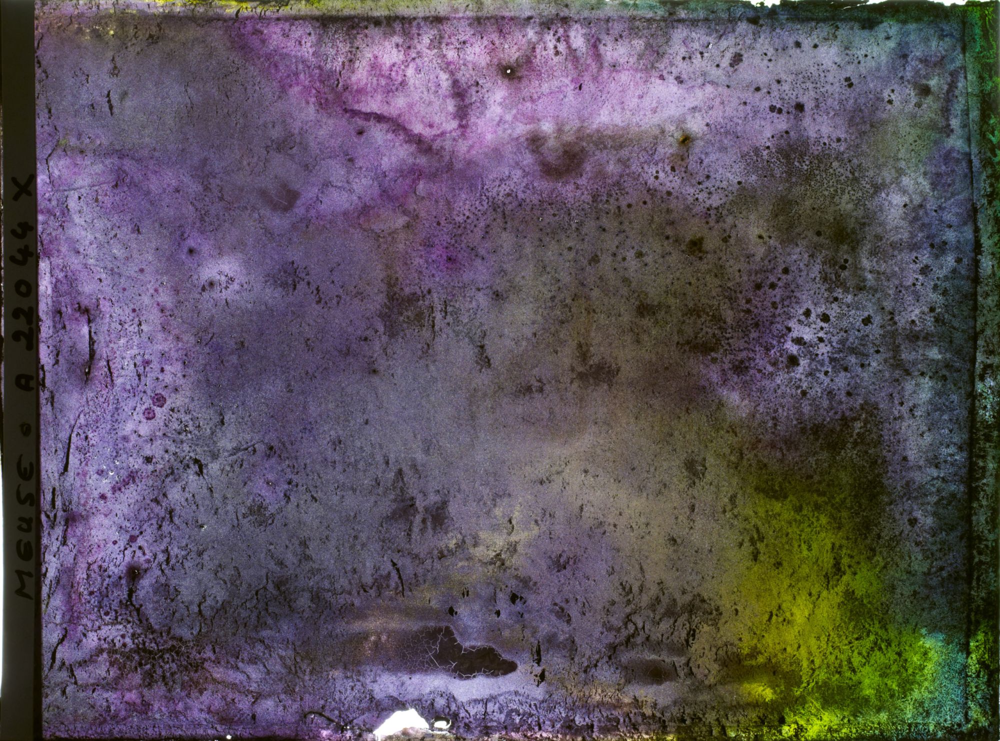 Image représentant Image illisible, plaque endommagée par l'eau (altérations d'époque)