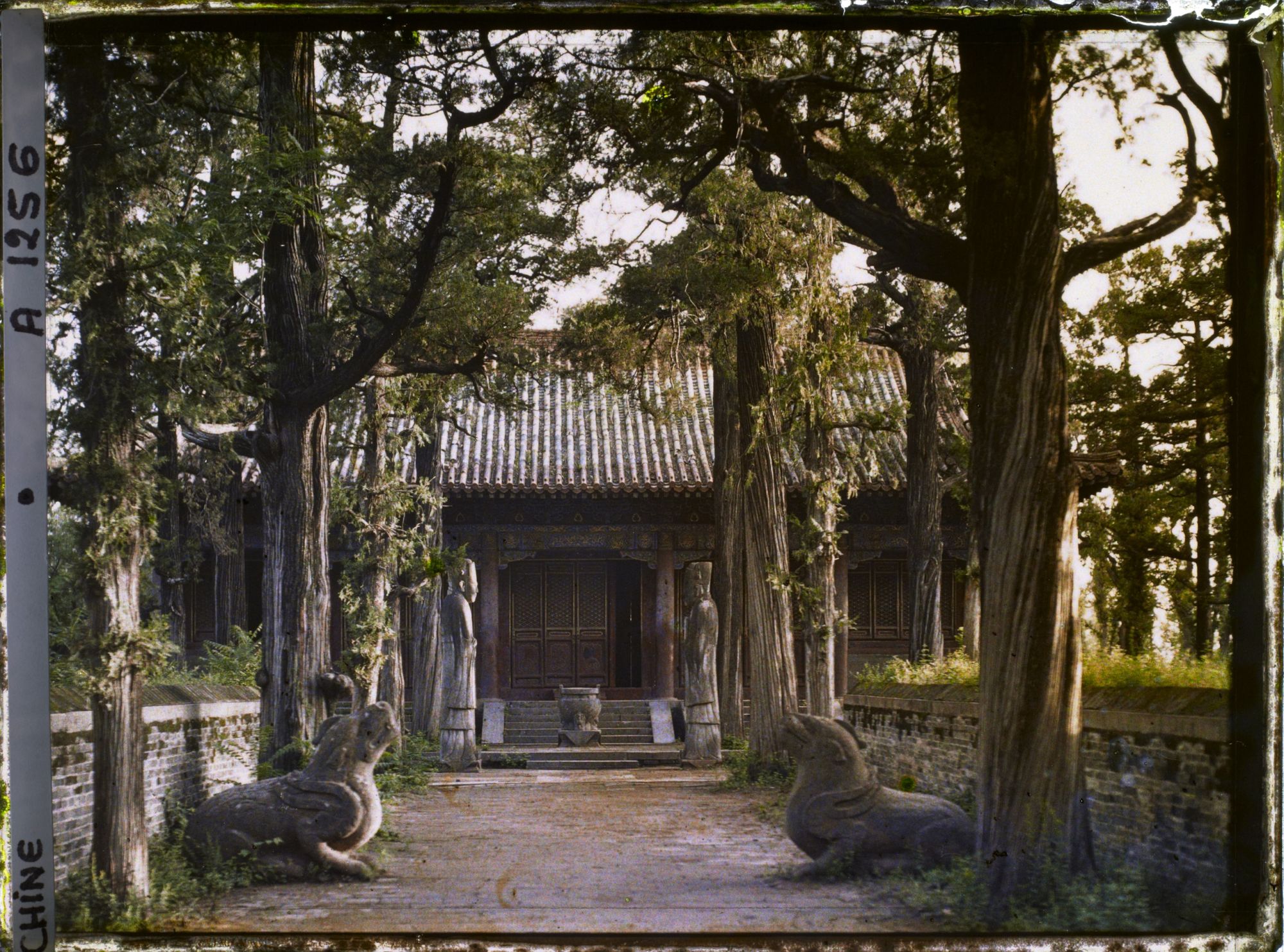 Image représentant Konglin, la nécropole de la famille de Confucius