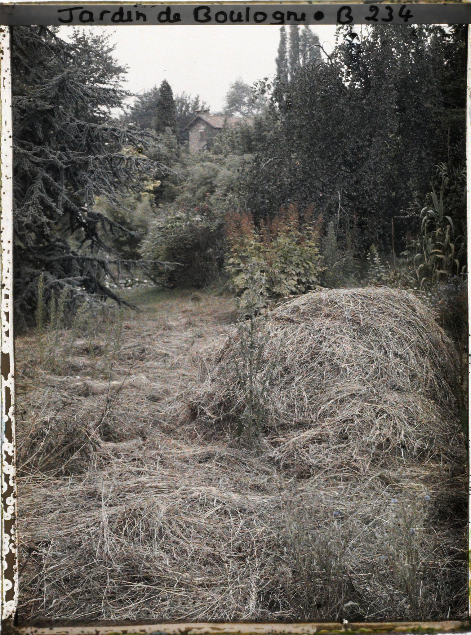 Image représentant Les foins dans la prairie à proximité du marais