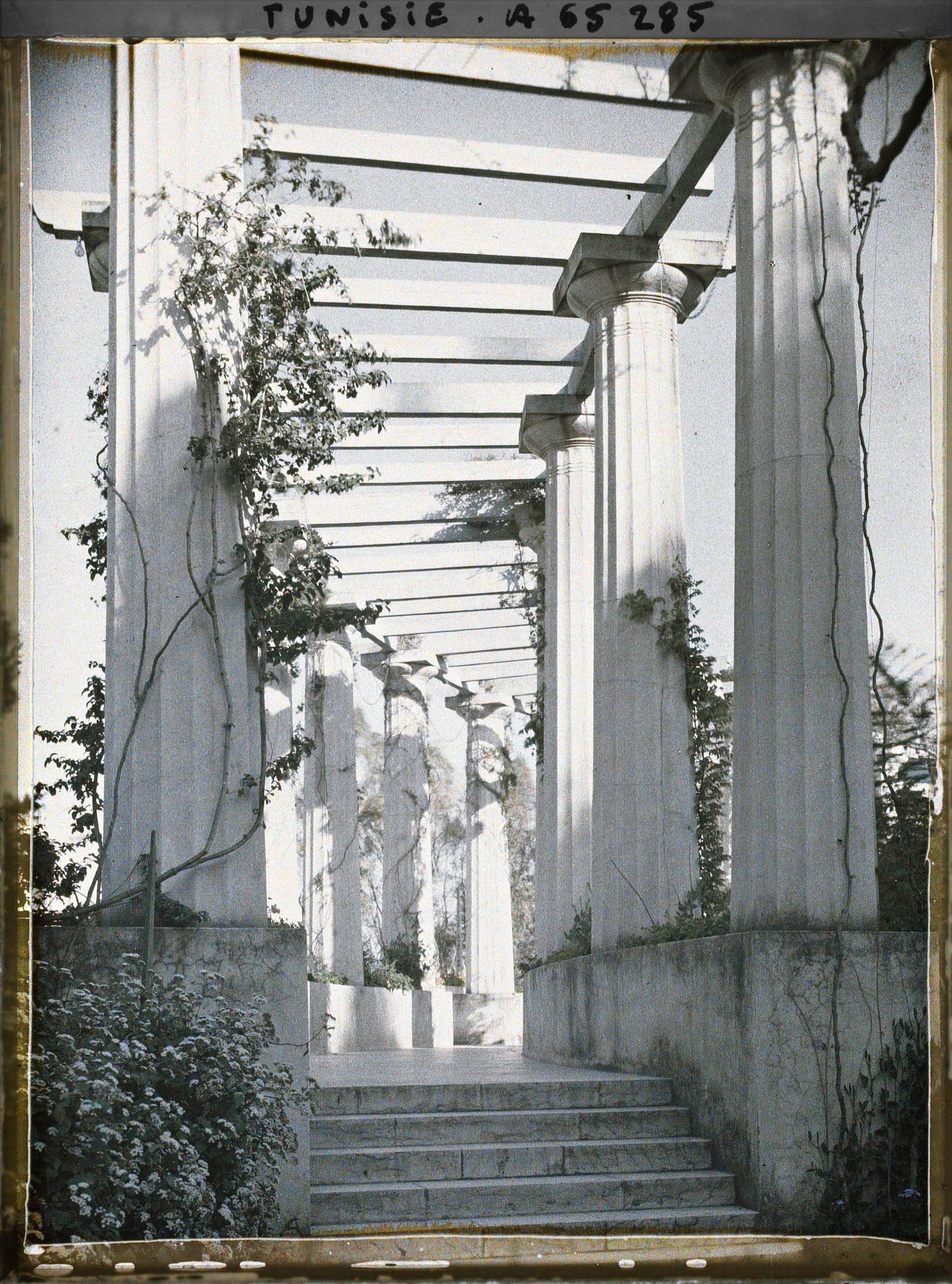 Image représentant La pergola du palais d'été du résident général