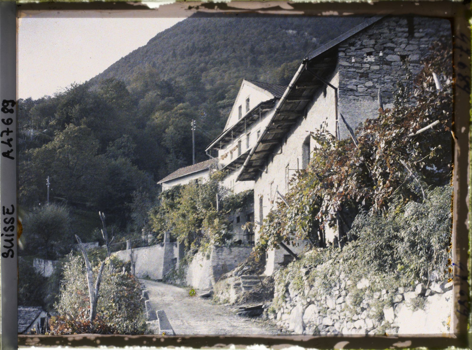 Image représentant L'entrée du village