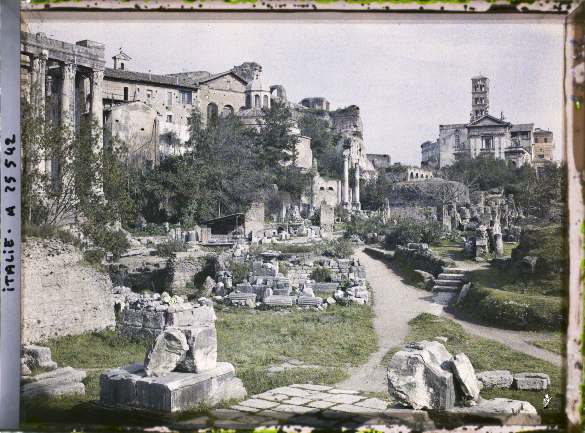 Image représentant Forum romain vue d'ensemble