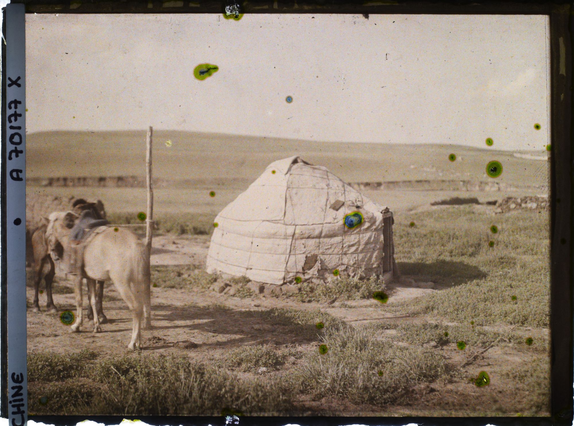 Image représentant Dans la steppe