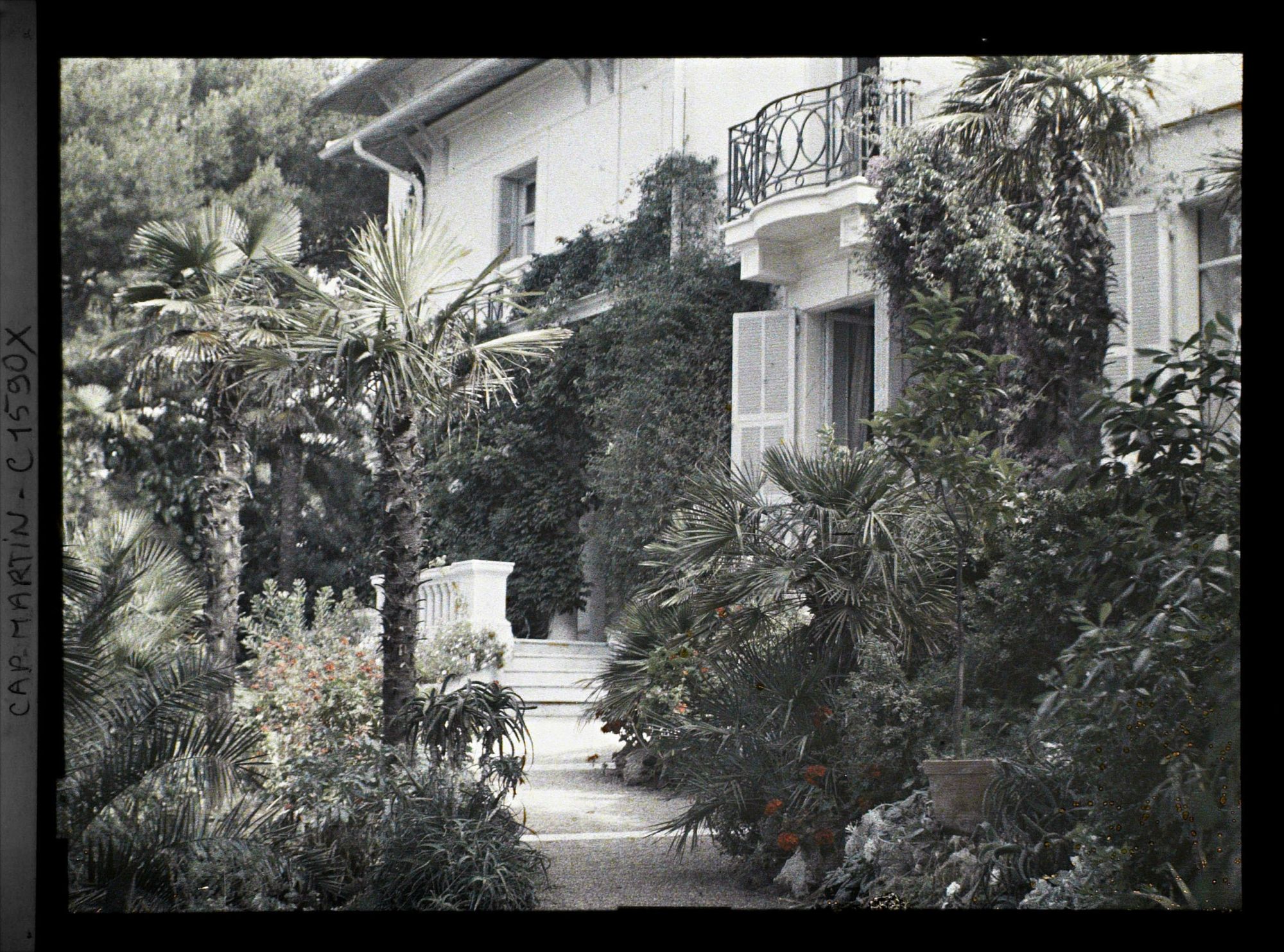 Image représentant Allée menant à la villa Miramar, depuis le jardin, vue en direction du Nord-Est