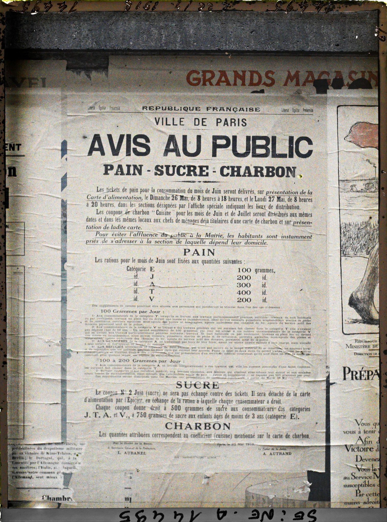 Image représentant Affiche d'avis au public pour le rationnement du pain, sucre et charbon