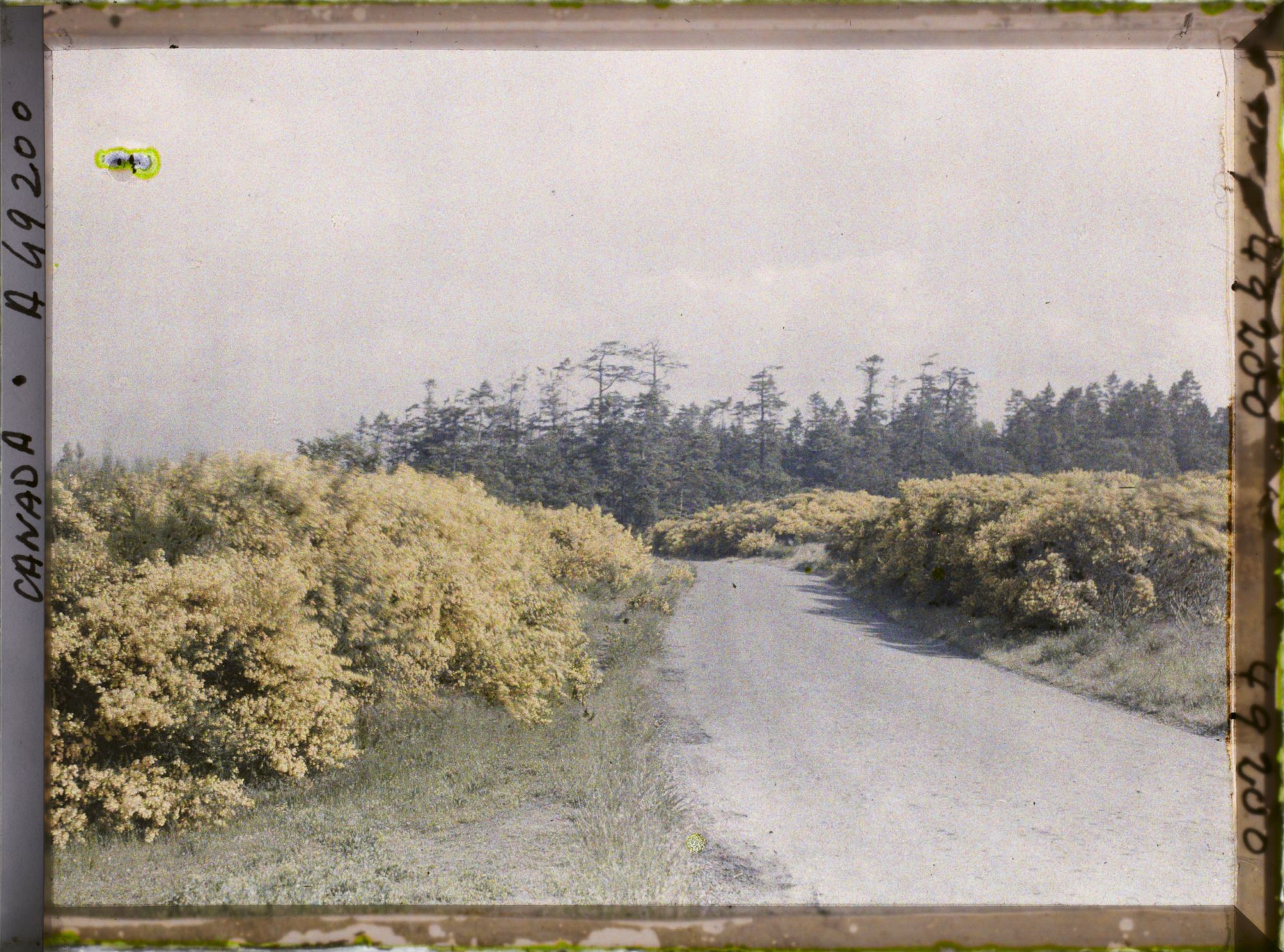 Image représentant Canada, Victoria, Beaconhill parc, autre vue