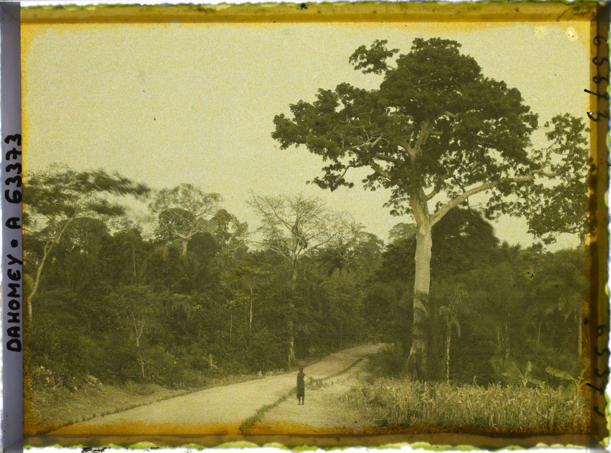 Image représentant La route de Daagbé