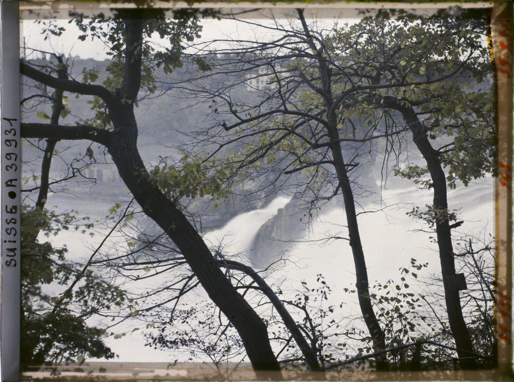 Image représentant Les chutes du Rhin vues du château de Laufen