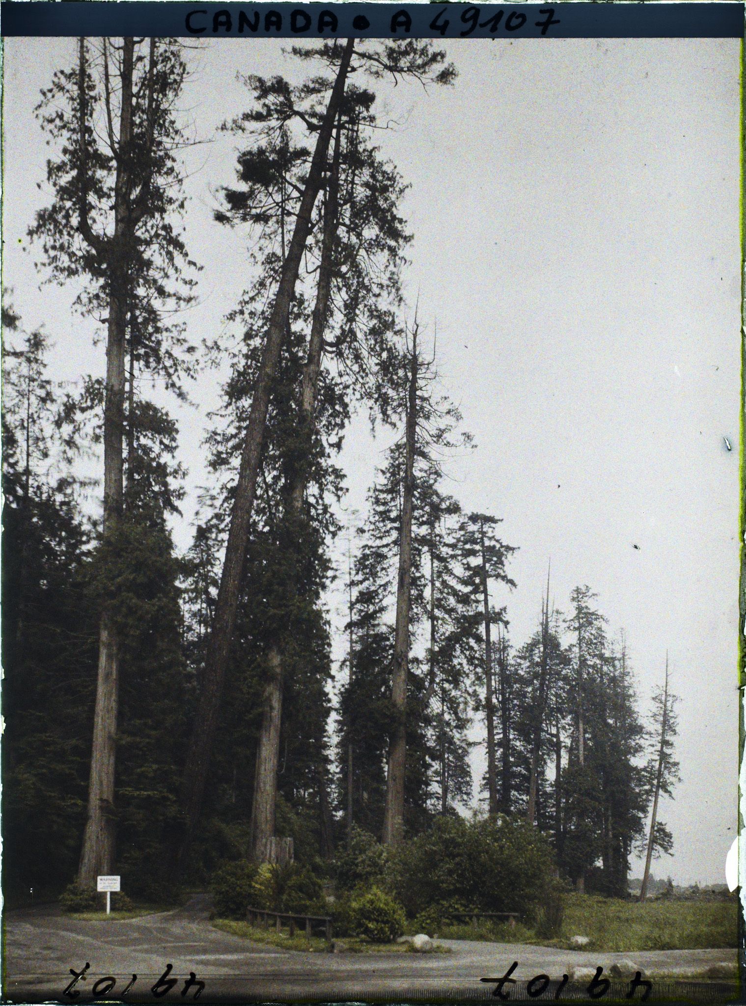 Image représentant Canada, Vancouver, Une vue du Parc