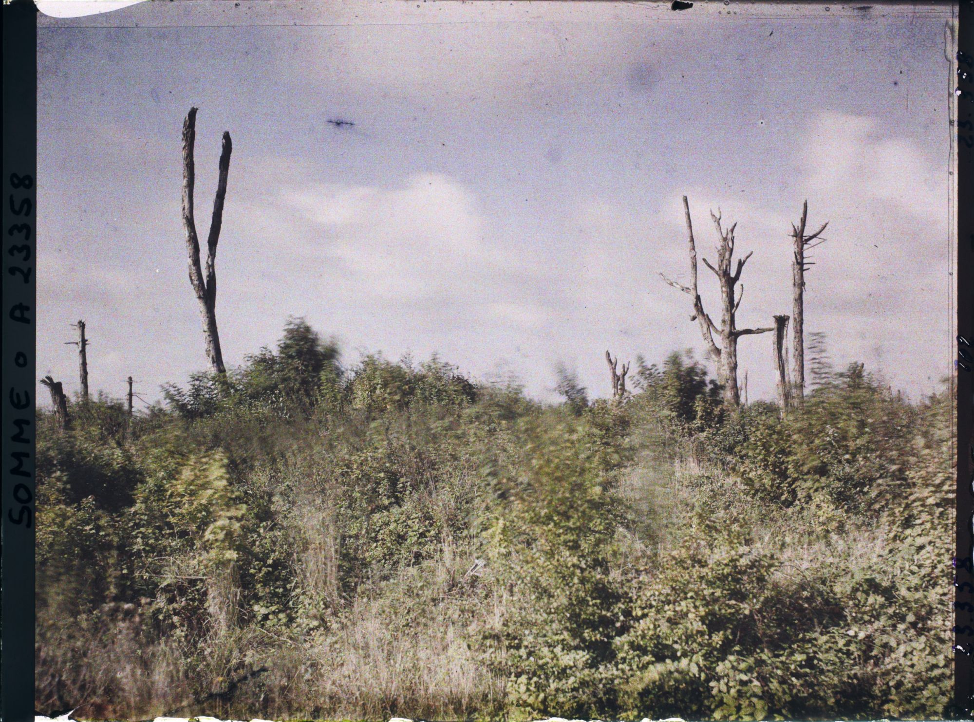 Image représentant France, La Maisonnette, Autre aspect de la Maisonnette