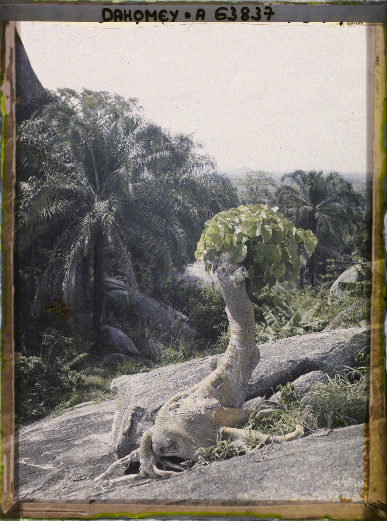 Image représentant Paysage de montagne