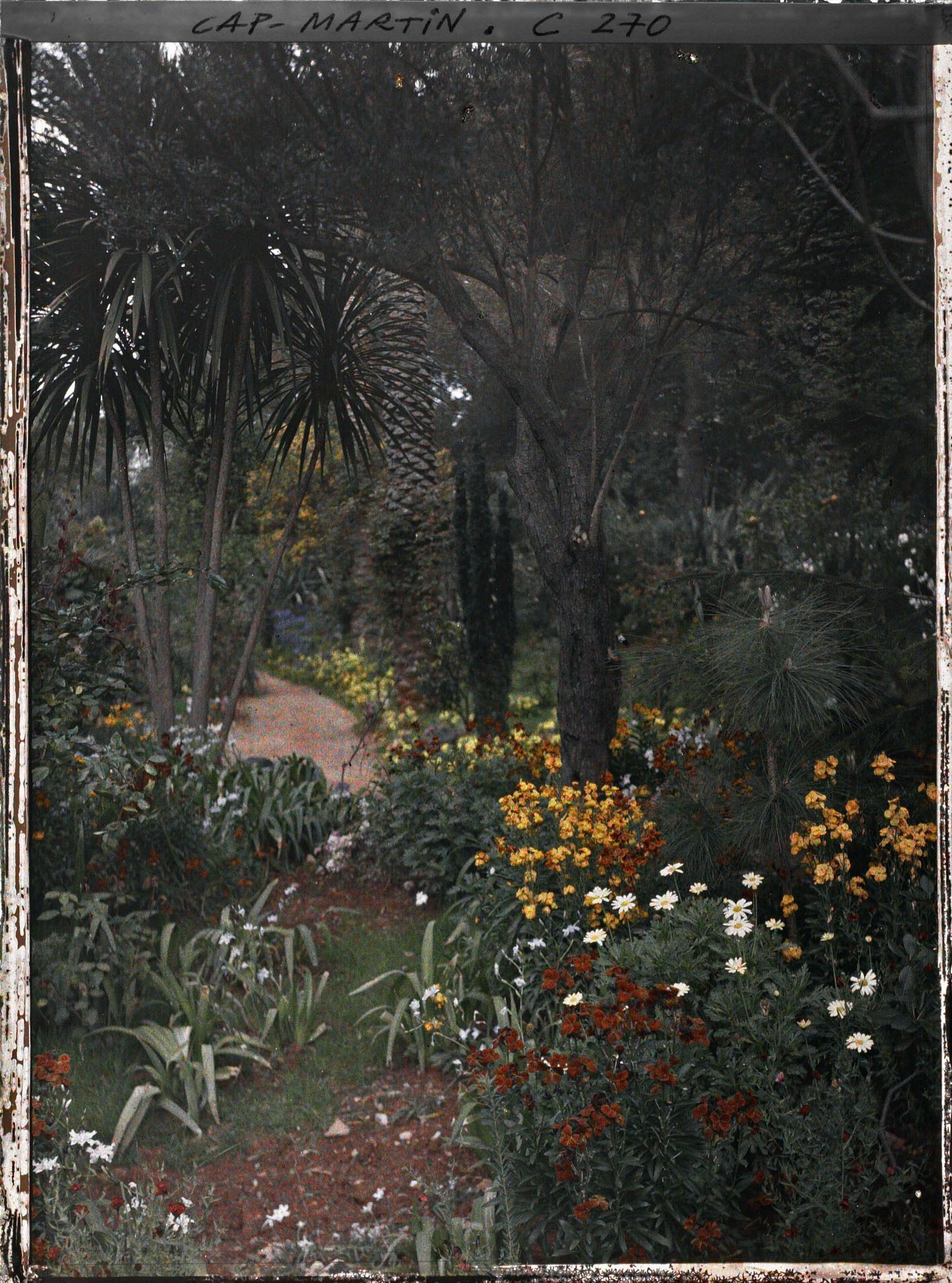 Image représentant Cap-Martin - Le Jardin