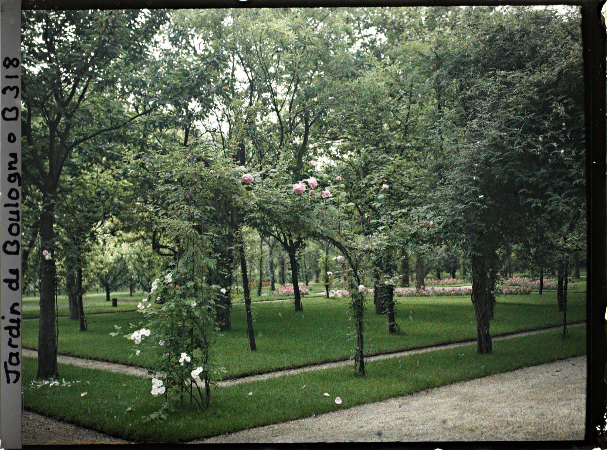 Image représentant Le verger-roseraie vu depuis l'angle nord-ouest proche de la dépendance