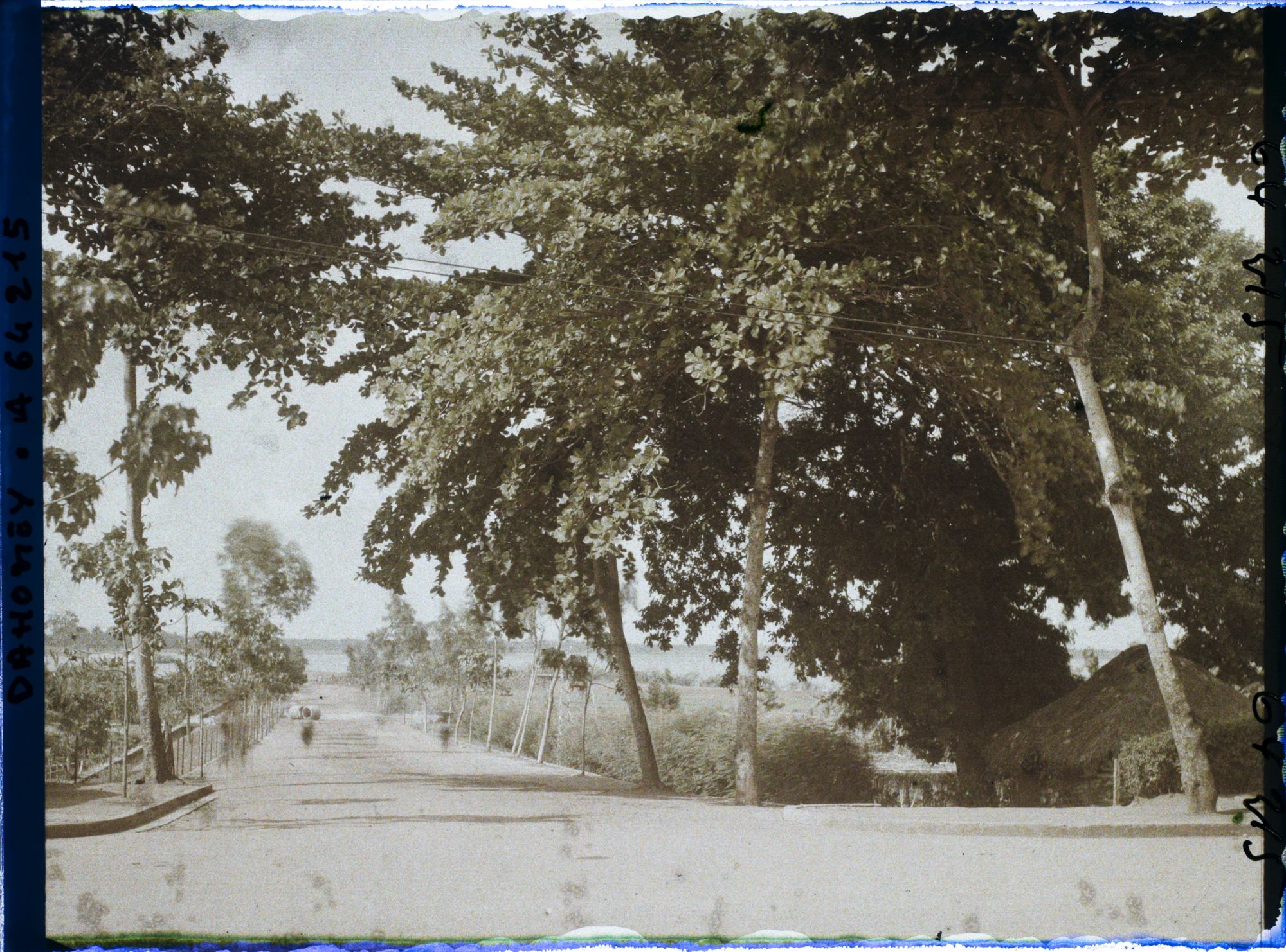 Image représentant L'avenue Mallan ? Vue vers la lagune ?
