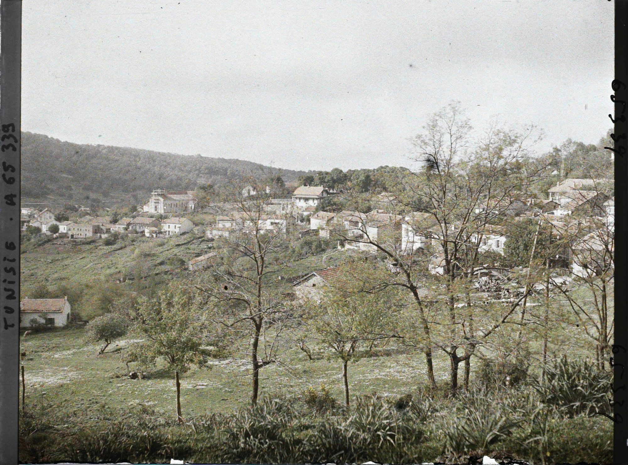 Image représentant Vue panoramique sur le village