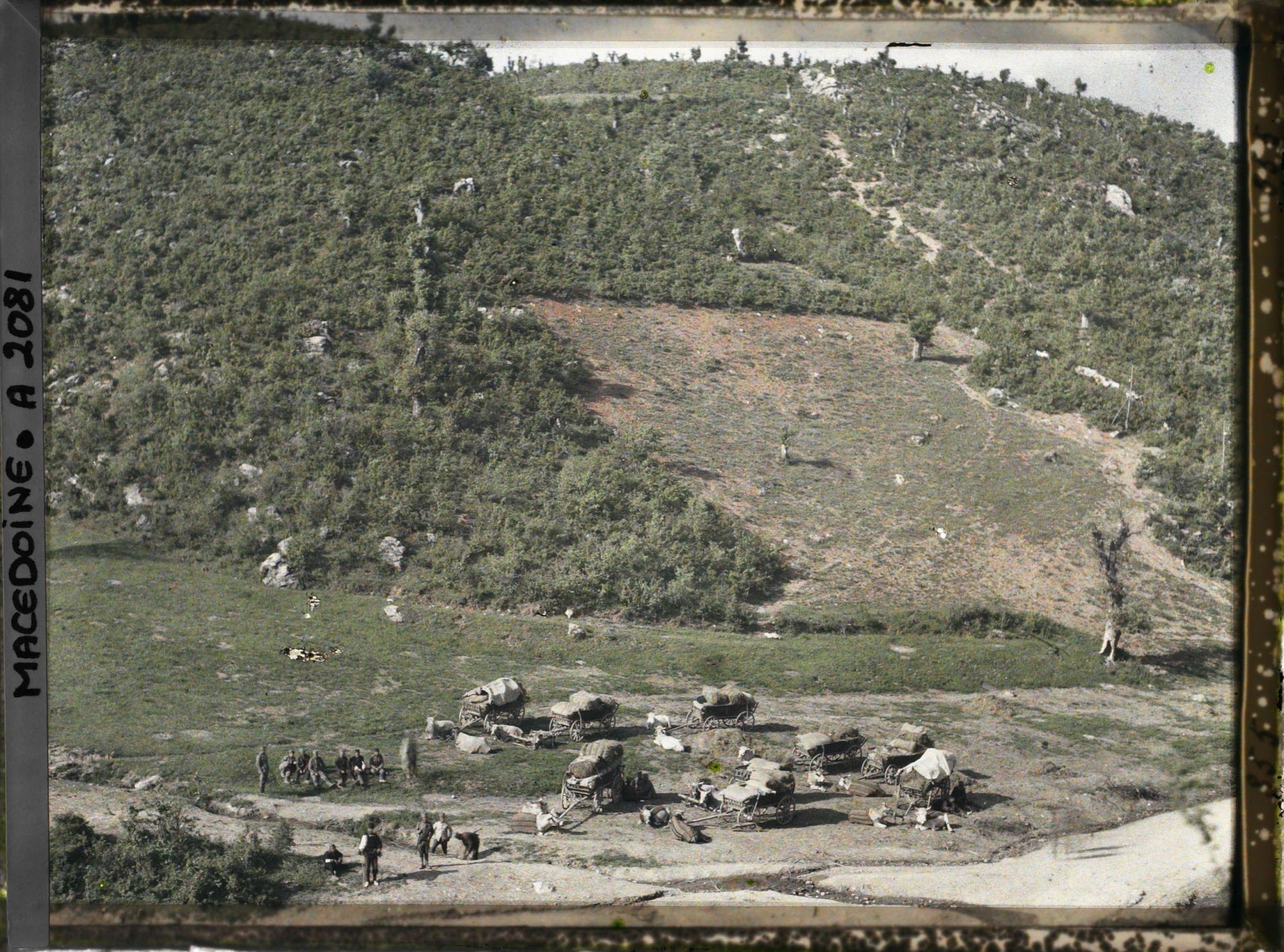 Image représentant Campement et moignons de chênes sur les versants