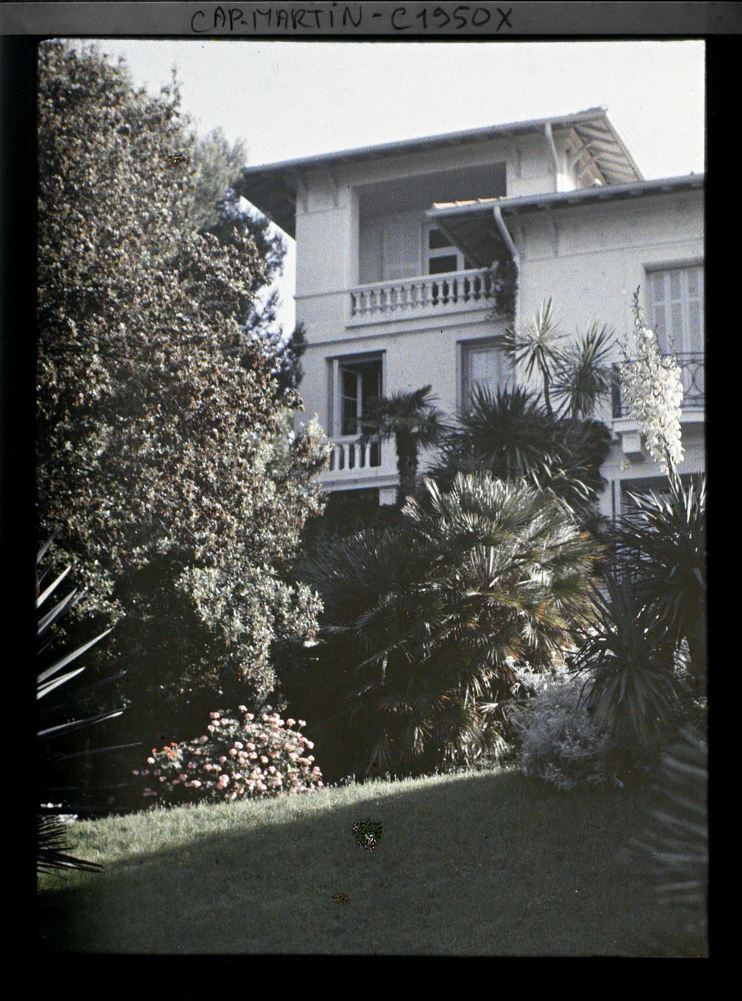 Image représentant Partie de gauche de façade de la villa Miramar, vue depuis son jardin, vue prise à 7 h