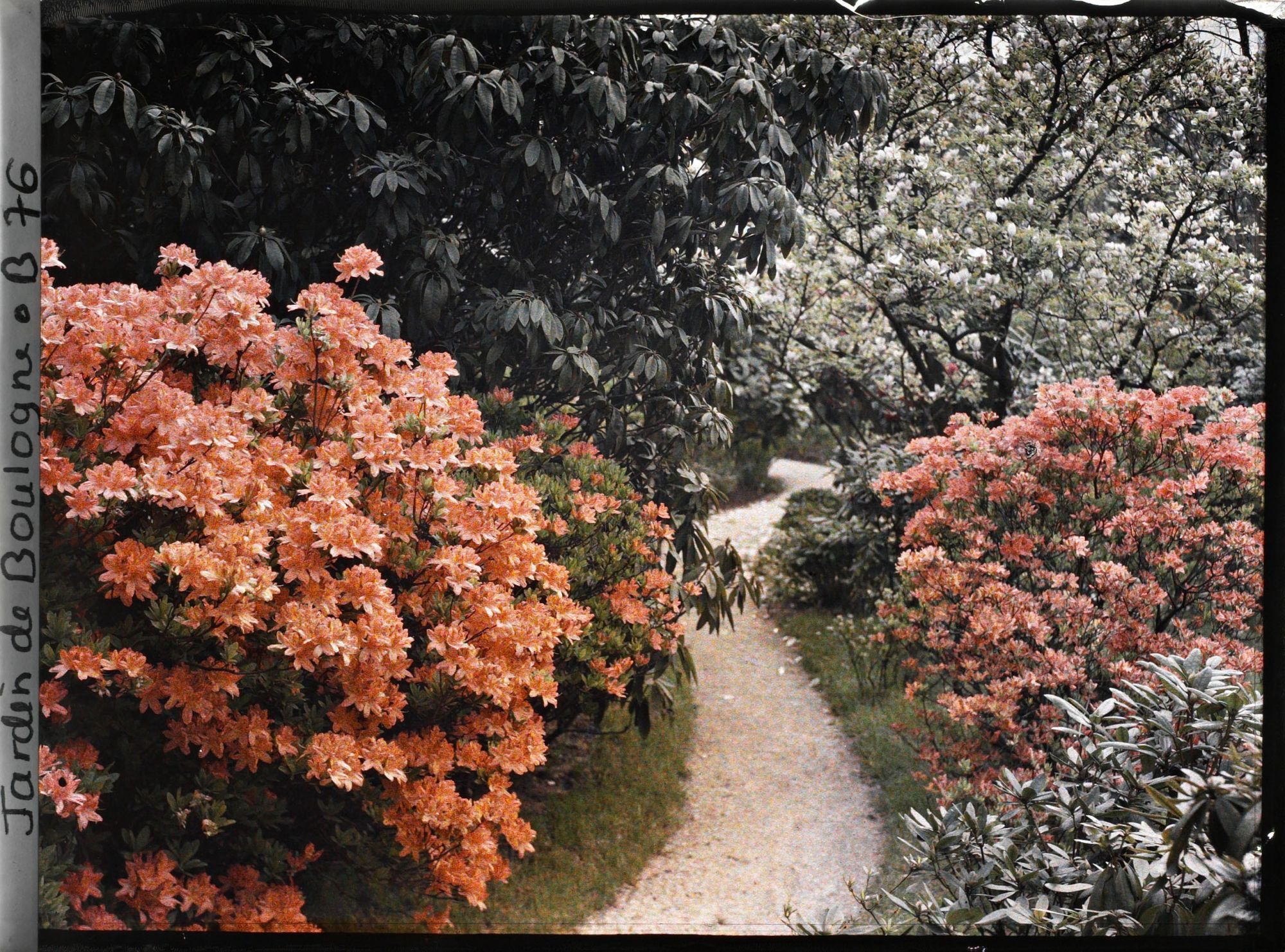 Image représentant Le " Chemin de Ronde " longeant le marais au nord