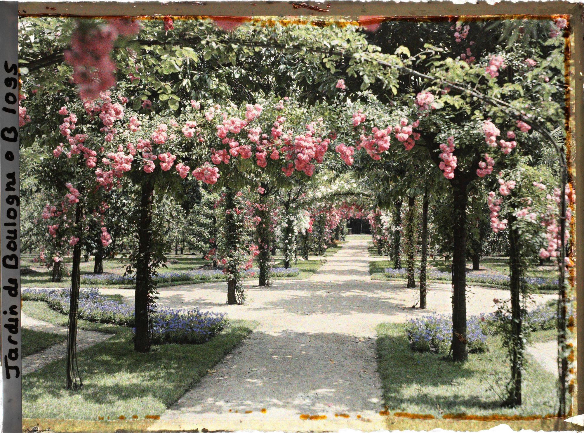 Image représentant Axe central du verger-roseraie vu en direction du jardin anglais, près du rond-point côté dépendance