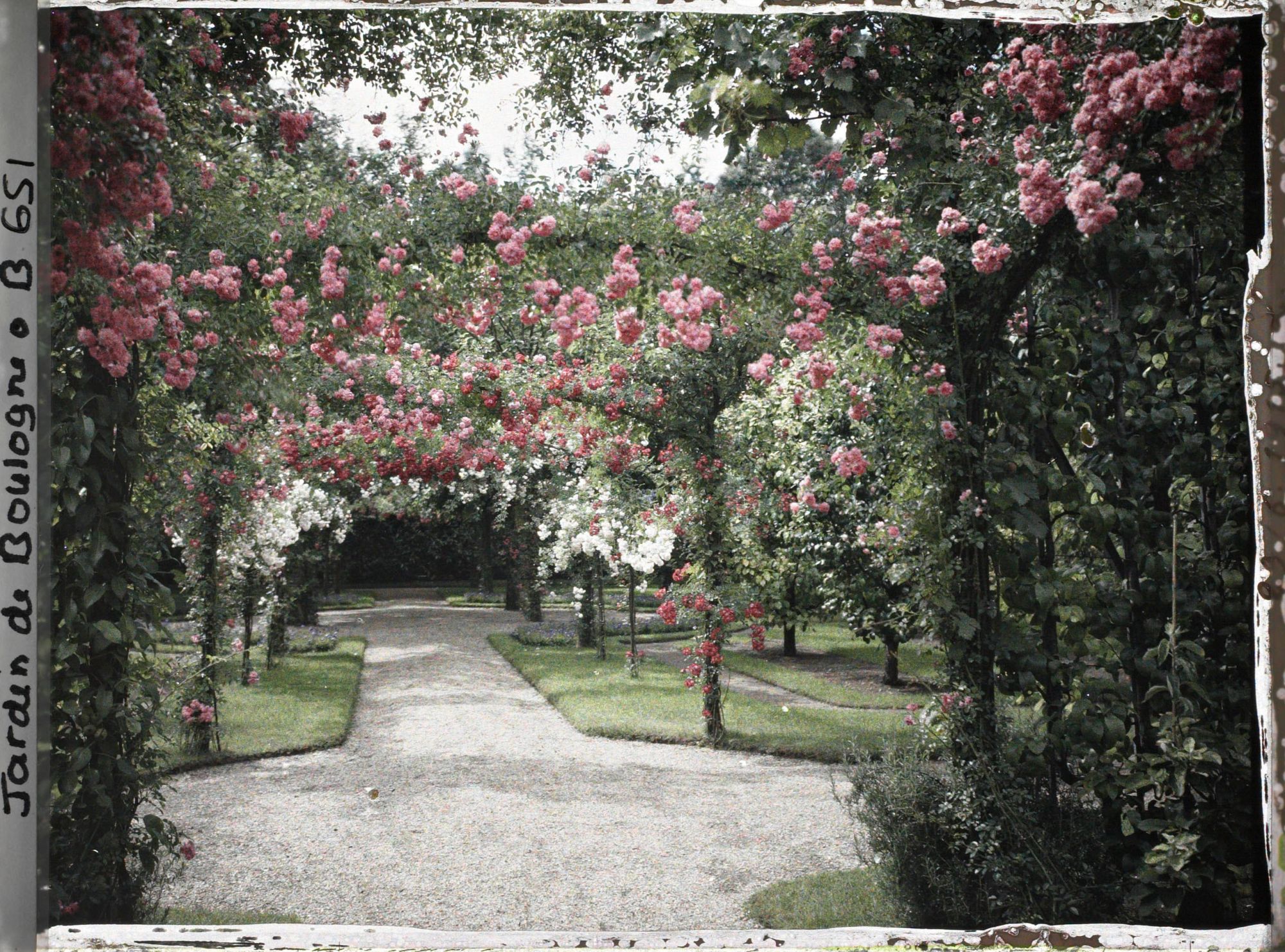 Image représentant Axe central du verger-roseraie vu depuis le second carrefour avant la dépendance