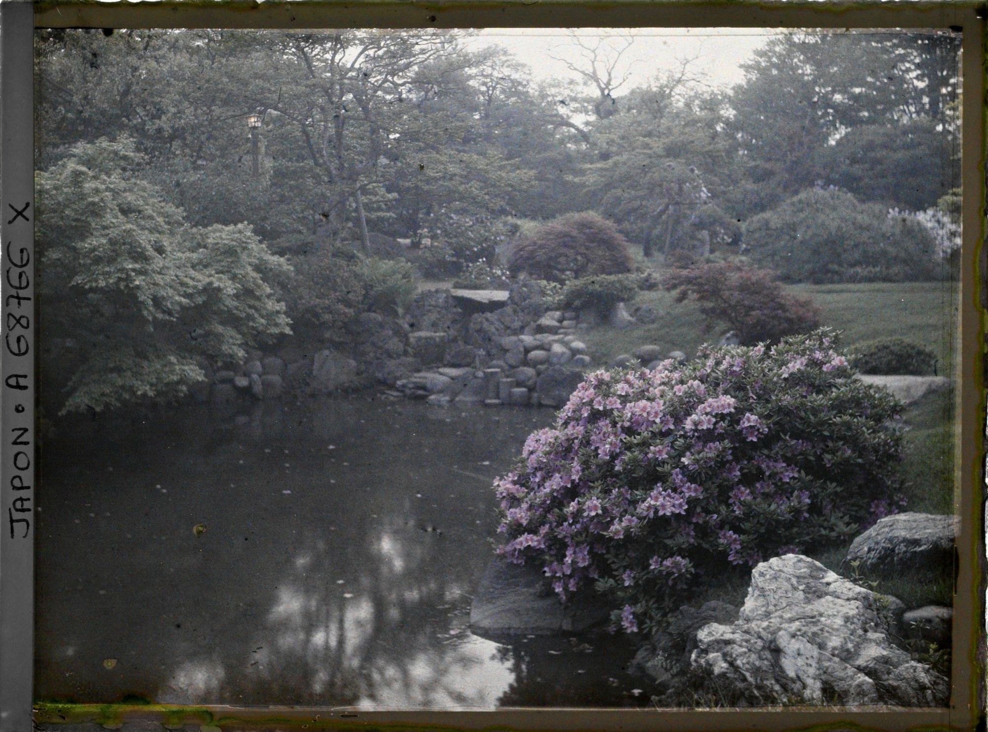Image représentant Jardin d'une résidence