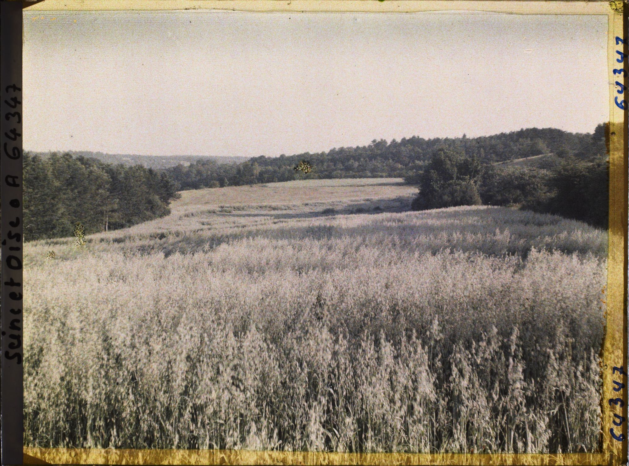 Image représentant Ile de France, Vallangoujard, Champ d'Avoine au lever du soleil