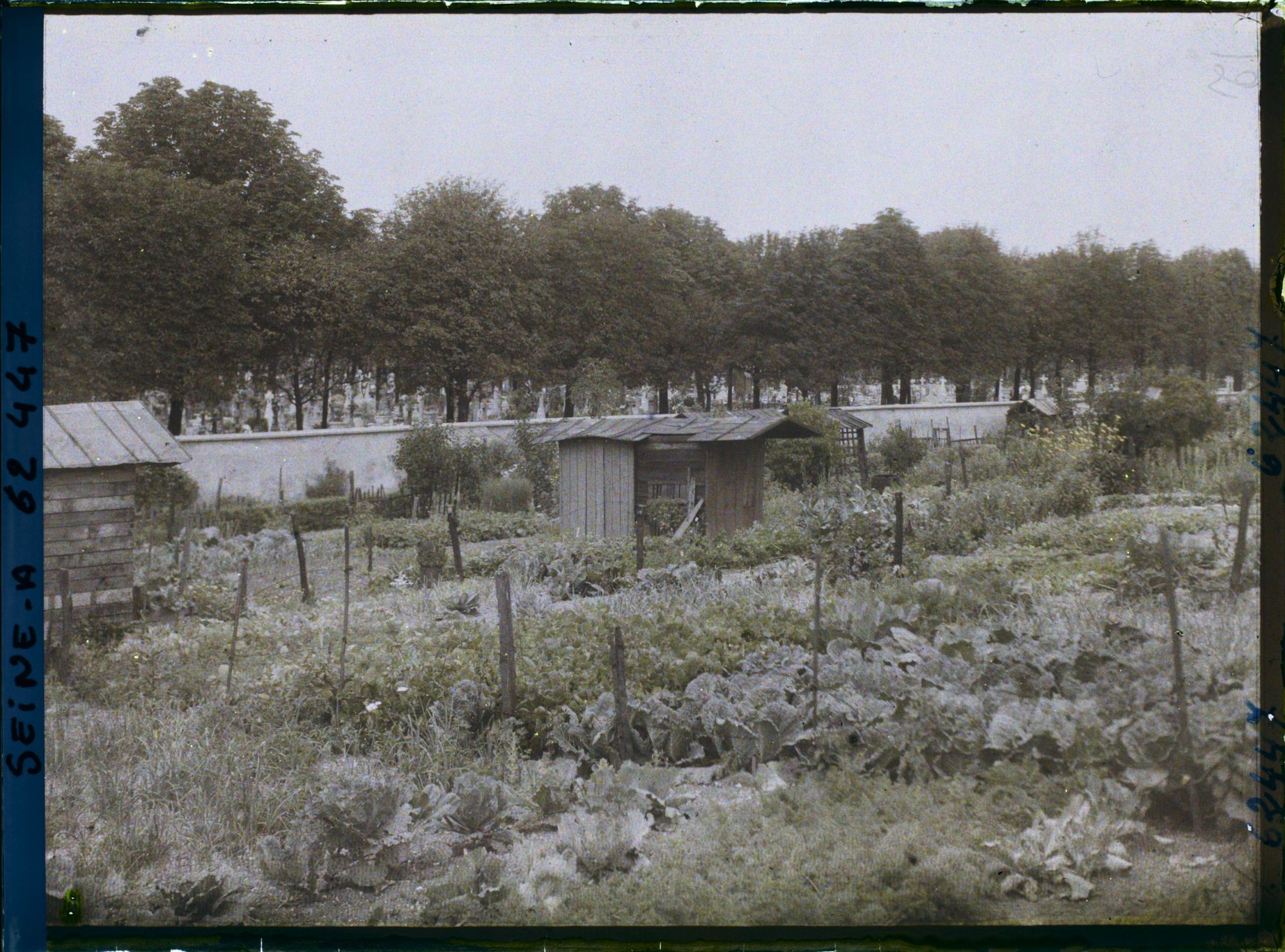 Image représentant Les jardins ouvriers à l'emplacement des anciennes fortifications porte de Clichy et le cimetière des Batignolles