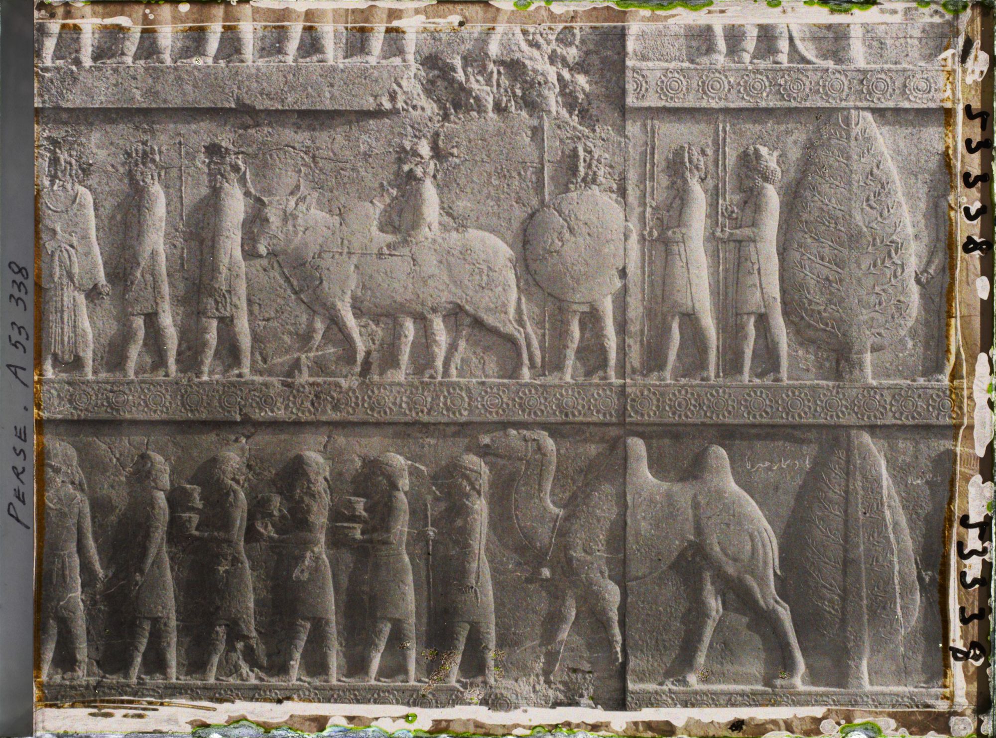 Image représentant Escalier nord de l'Apadana, détail de la procession des tributaires (les Bactriens)