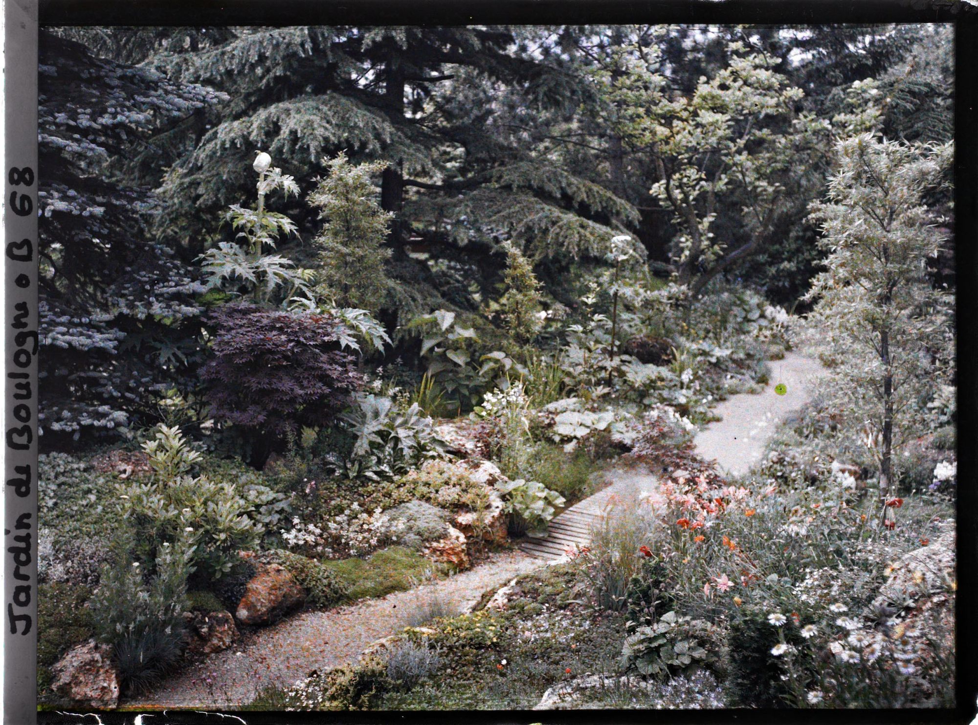 Image représentant Arbres, bambous et rocaille fleurie au bord d'un chemin du " sanctuaire japonais " menant au sorinto