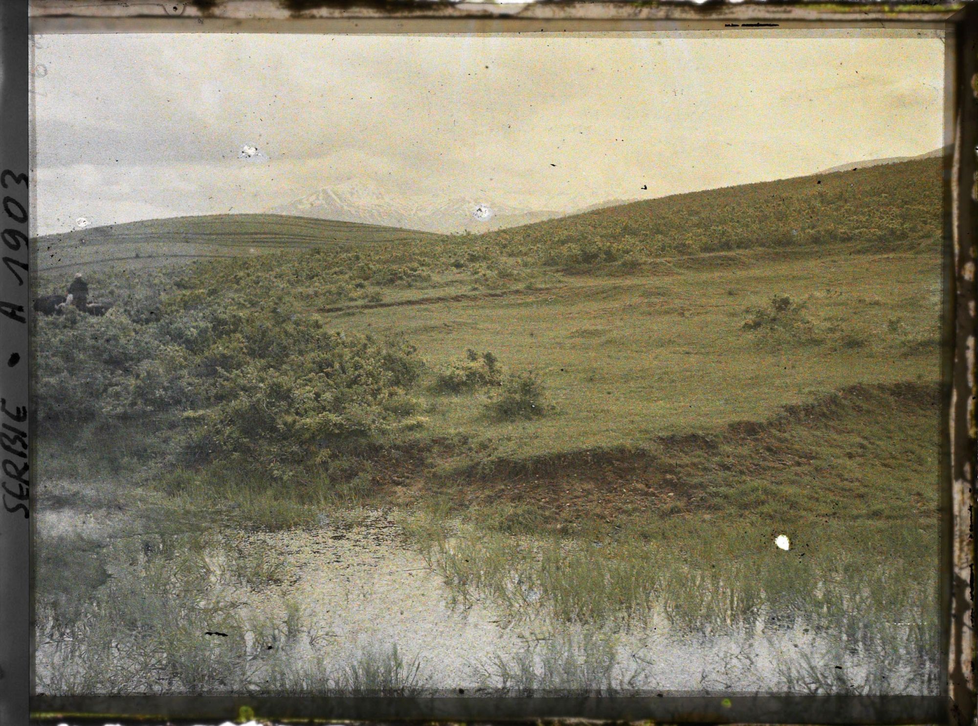 Image représentant Marécage et maquis de petits chênes sur la route de Prizren dans le Kosovo Polje