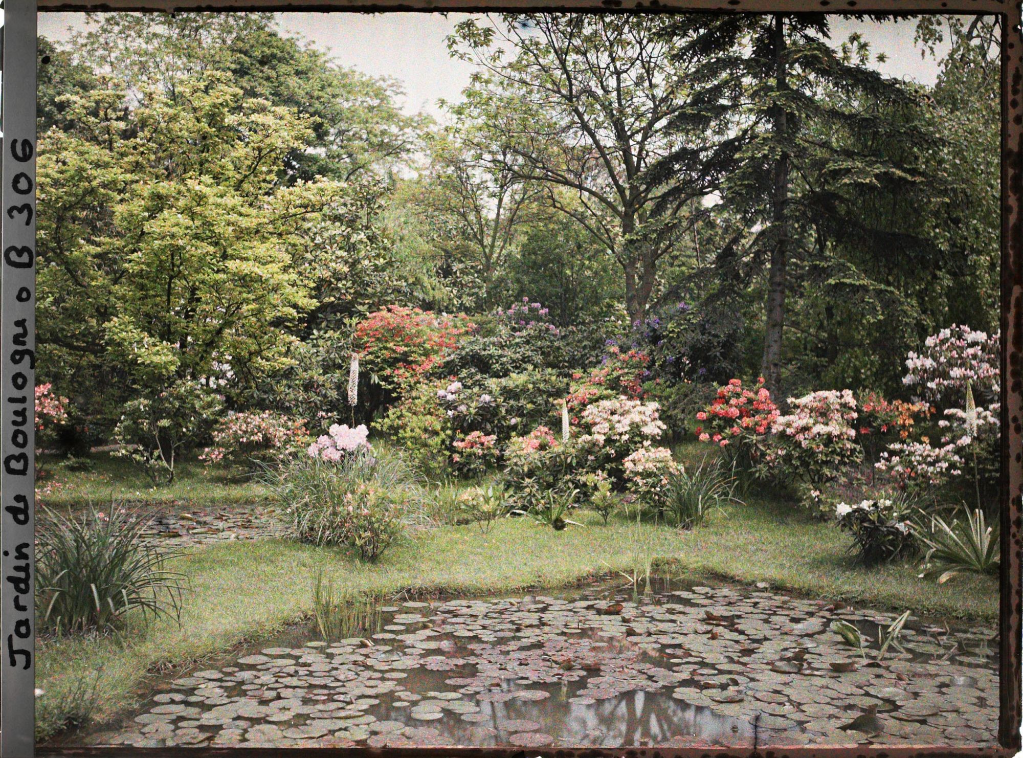 Image représentant Partie est du marais fleuri de rhododendrons et d'azalées, vu en direction du nord-est