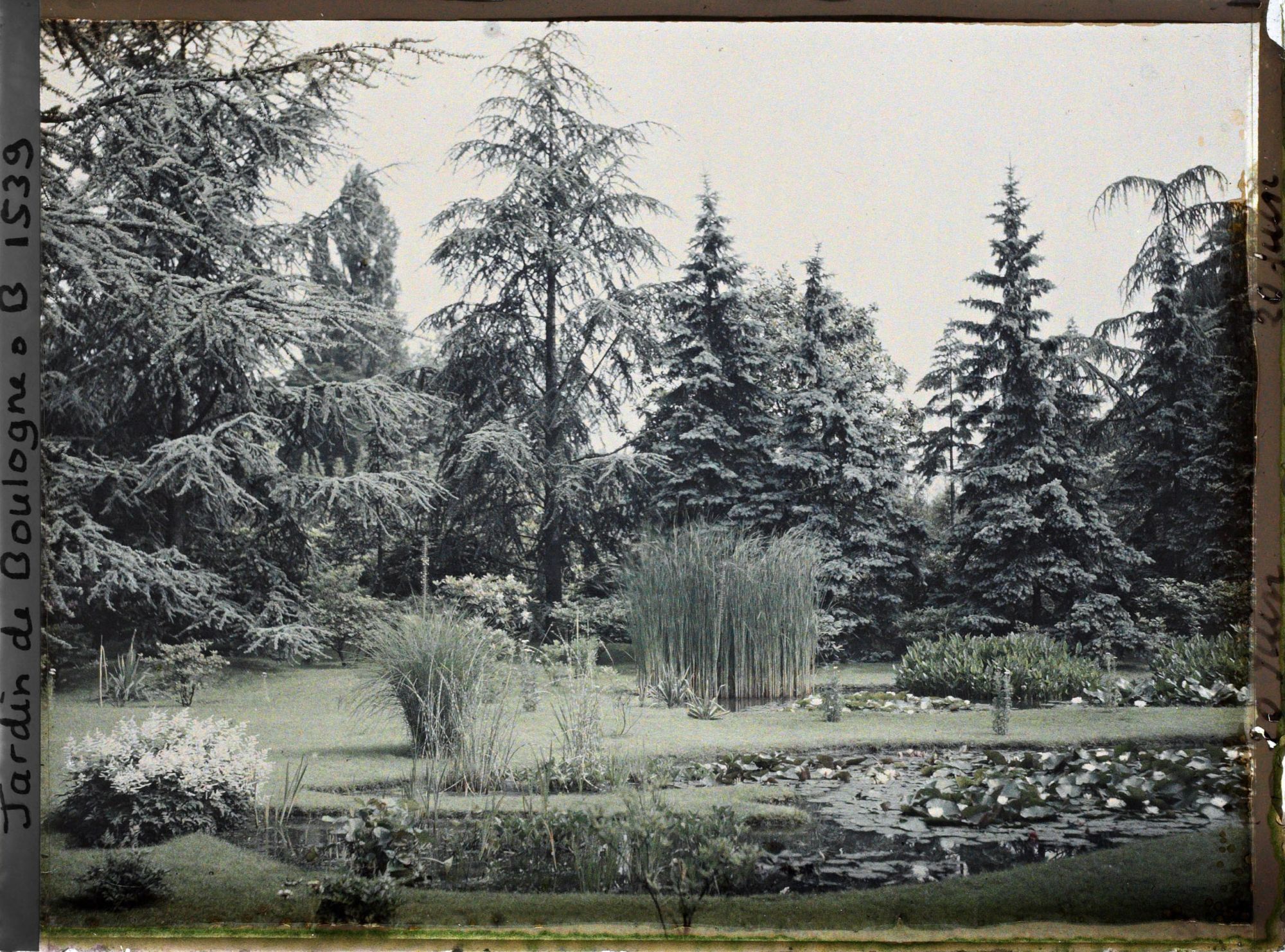 Image représentant Le marais