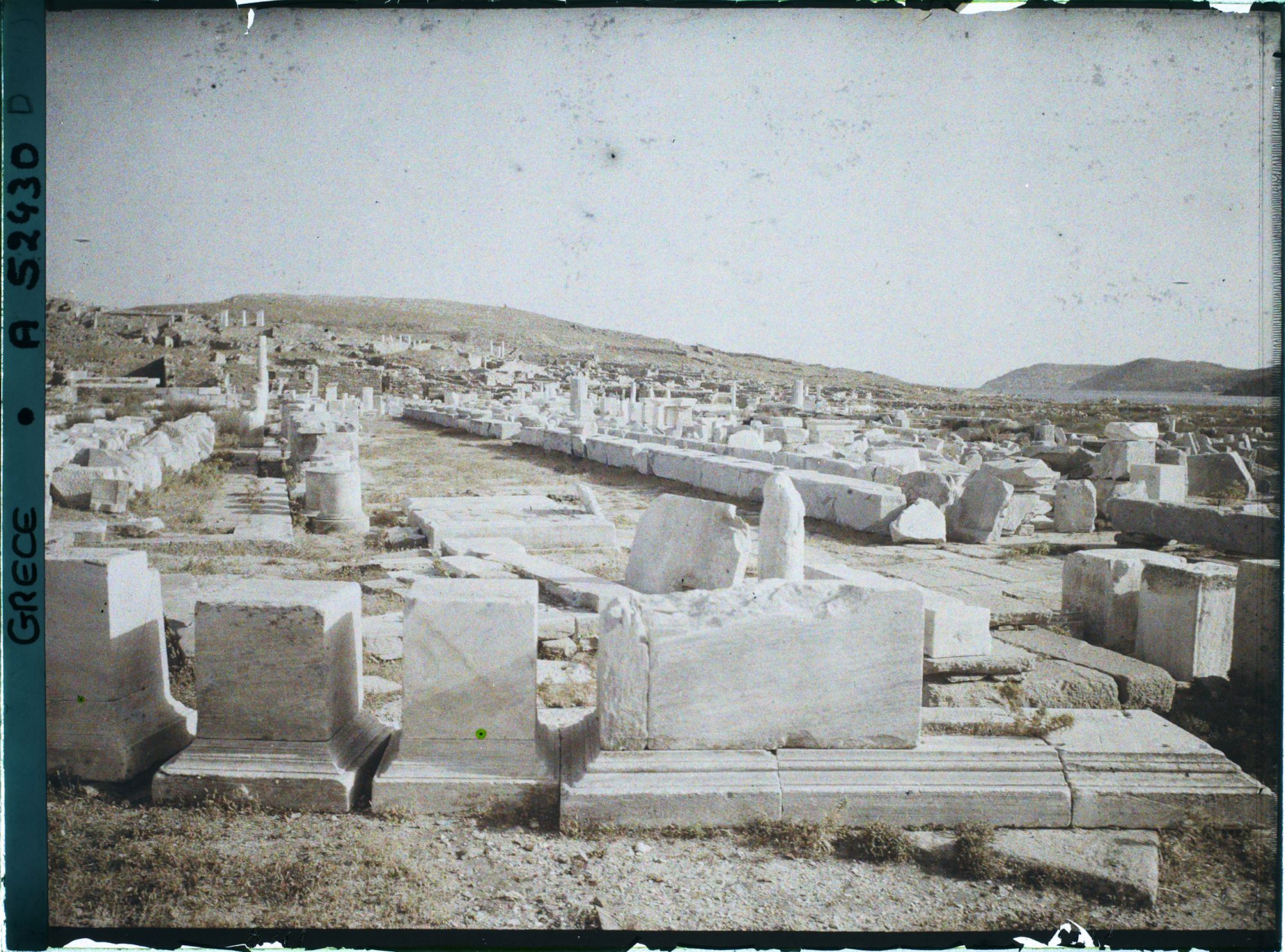 Image représentant L'avenue des Processions vue des Propylées