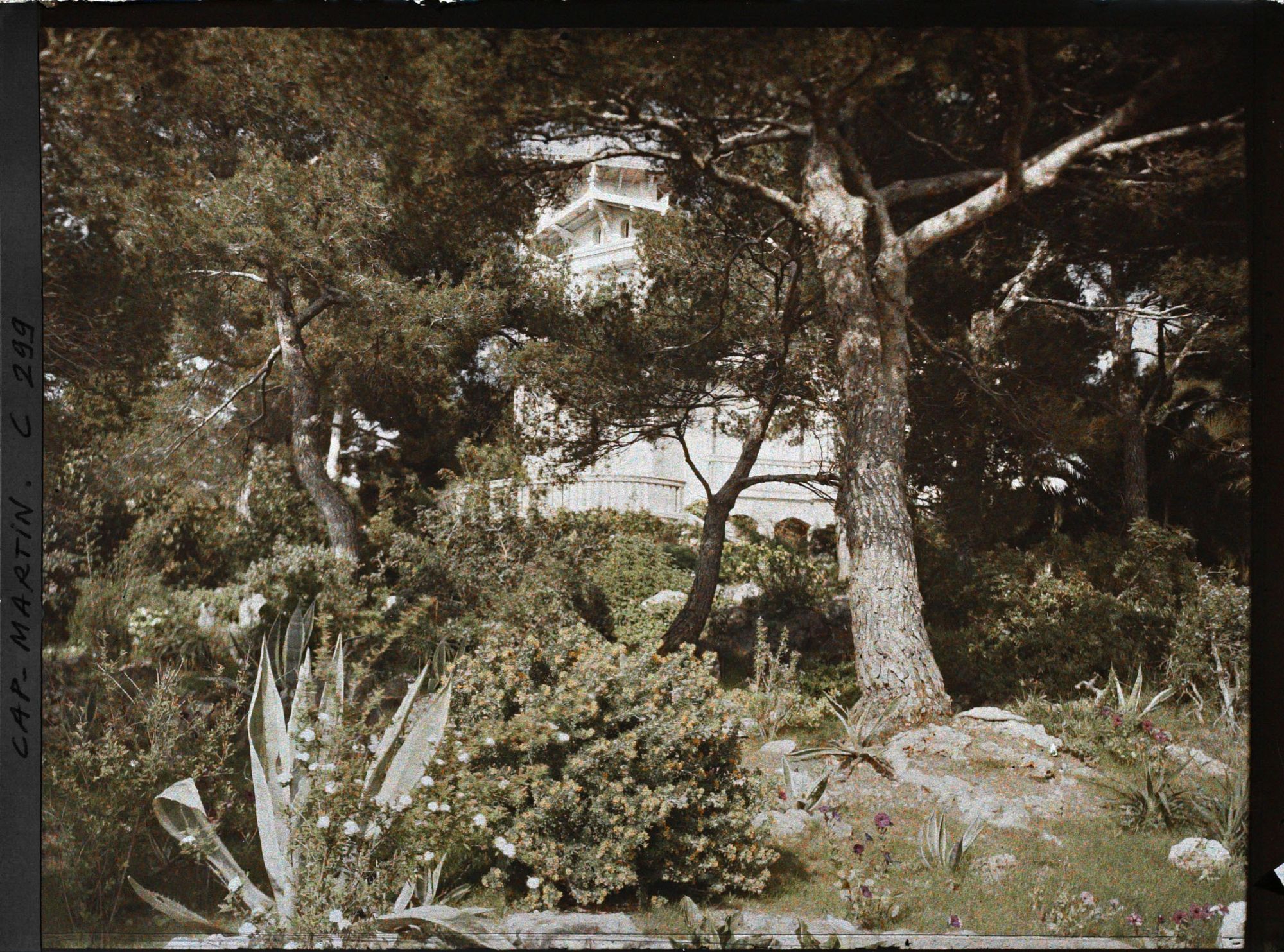 Image représentant Cap-Martin - Le Jardin
