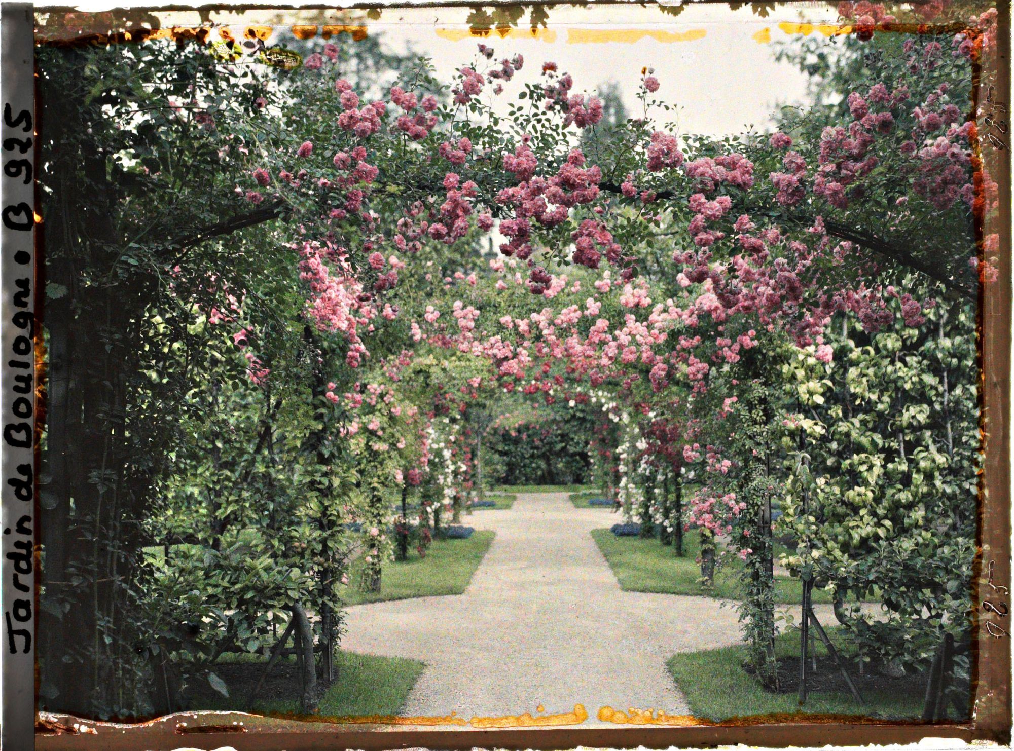 Image représentant Axe central du verger-roseraie vu près du second carrefour avant la dépendance