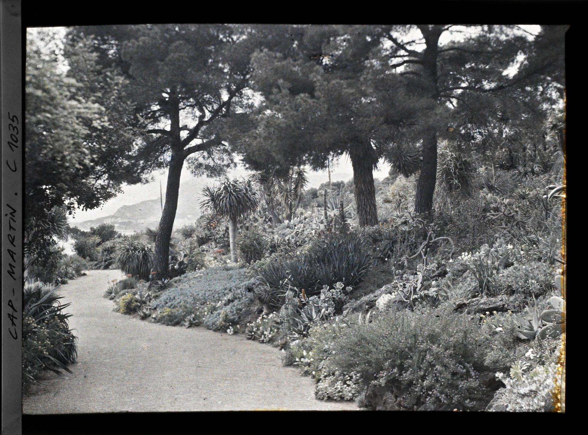 Image représentant La gde allée, vue vers Monaco